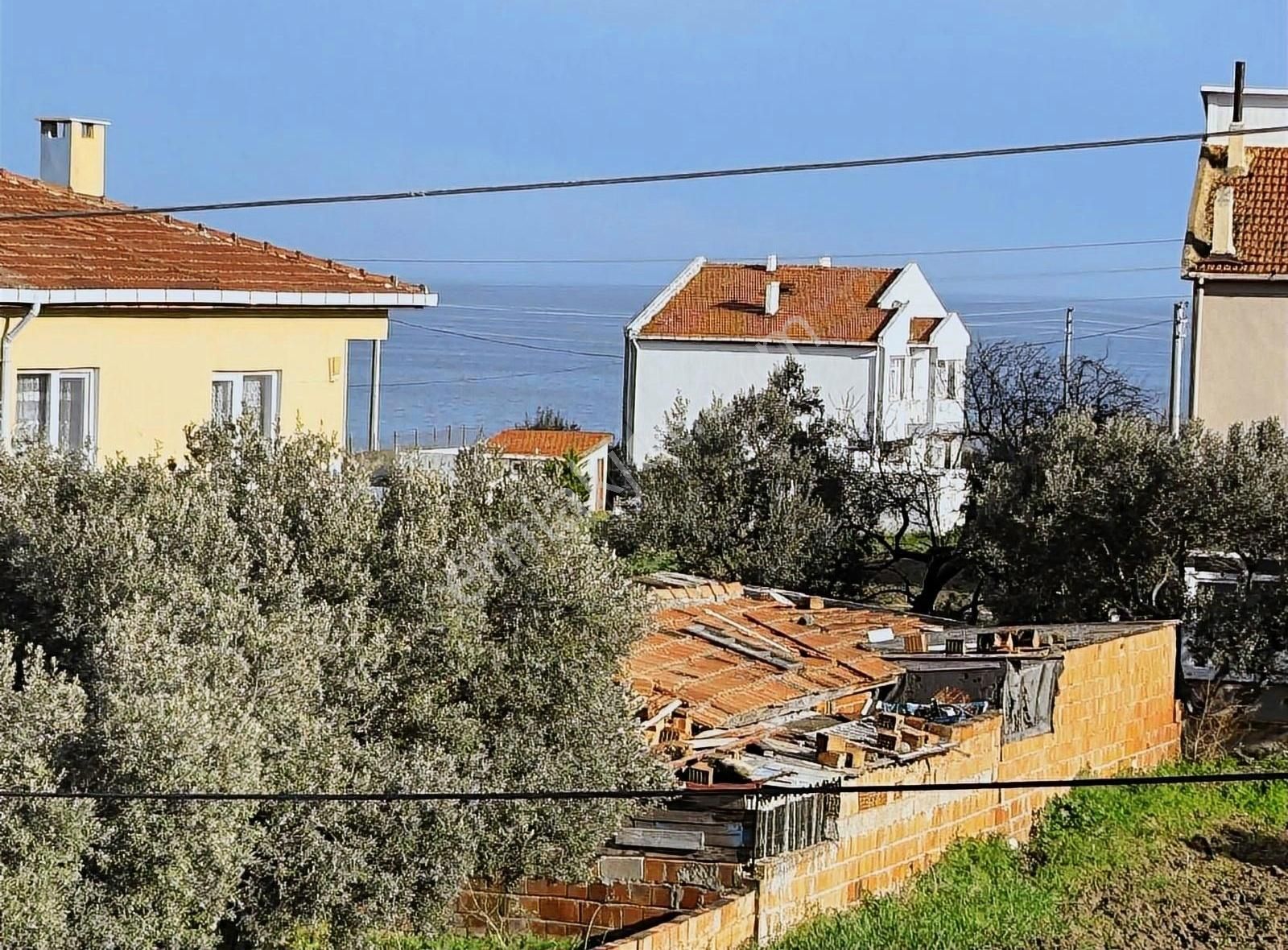 Şarköy Eriklice Yazlık Bölgede Satılık Lüks Müstakil Trıbleks - Görsel 24