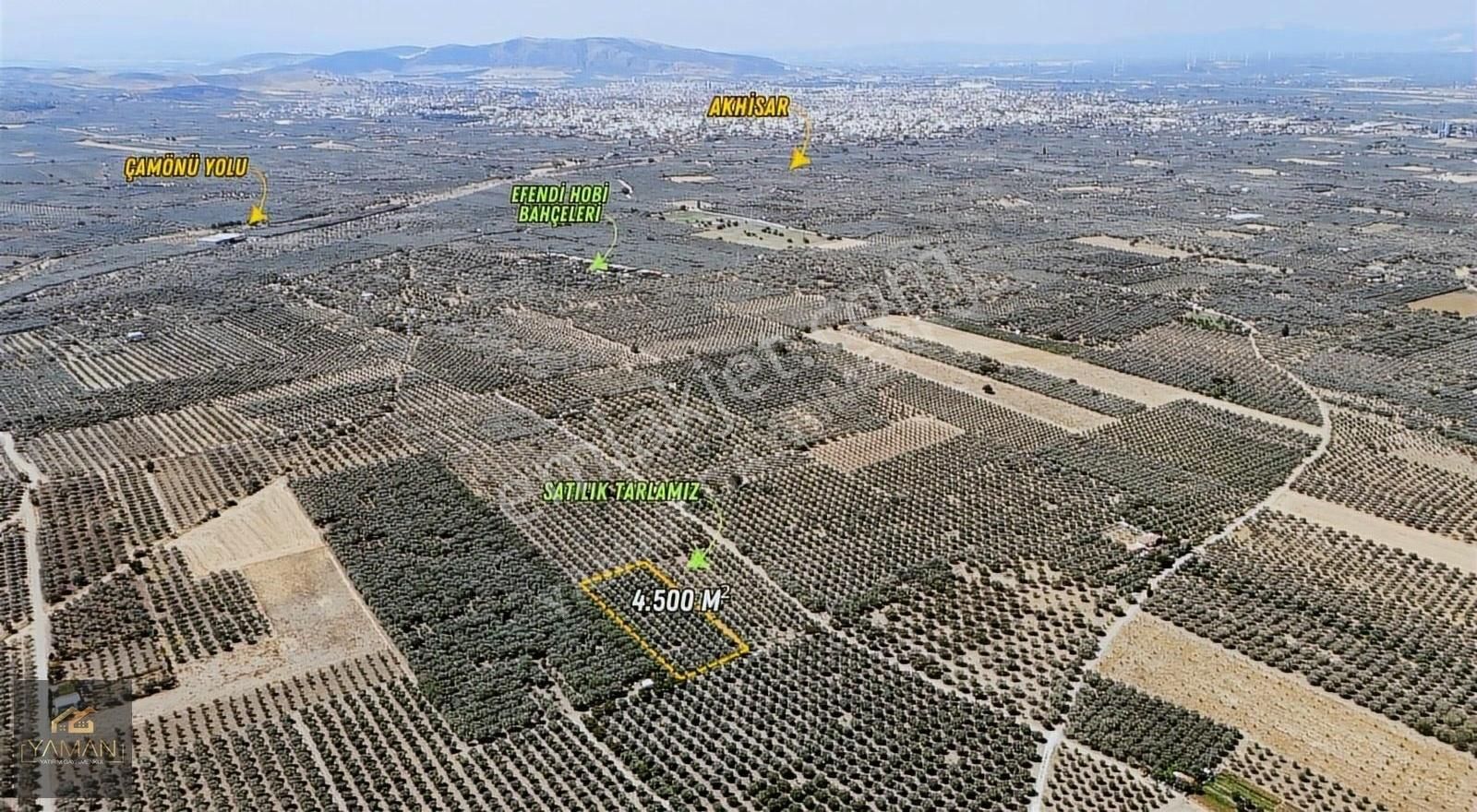 Akhisar Efendi Mahallesi Yakınında 4.500 M² Satılık Zeytinlik - Görsel 24