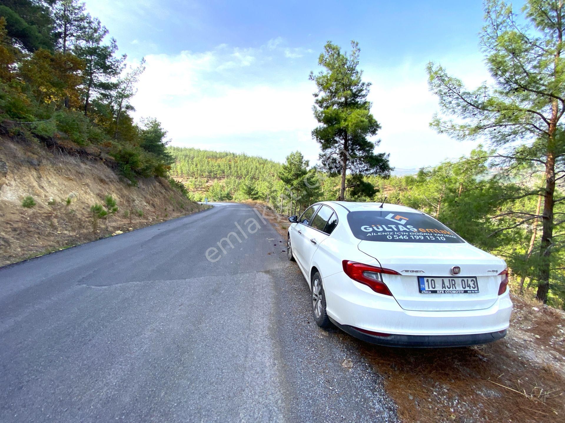 🌳🌳gültaş Emlaktan Havranda Satılık 300m Elektirik Ve Suyu Mevcut Arsa