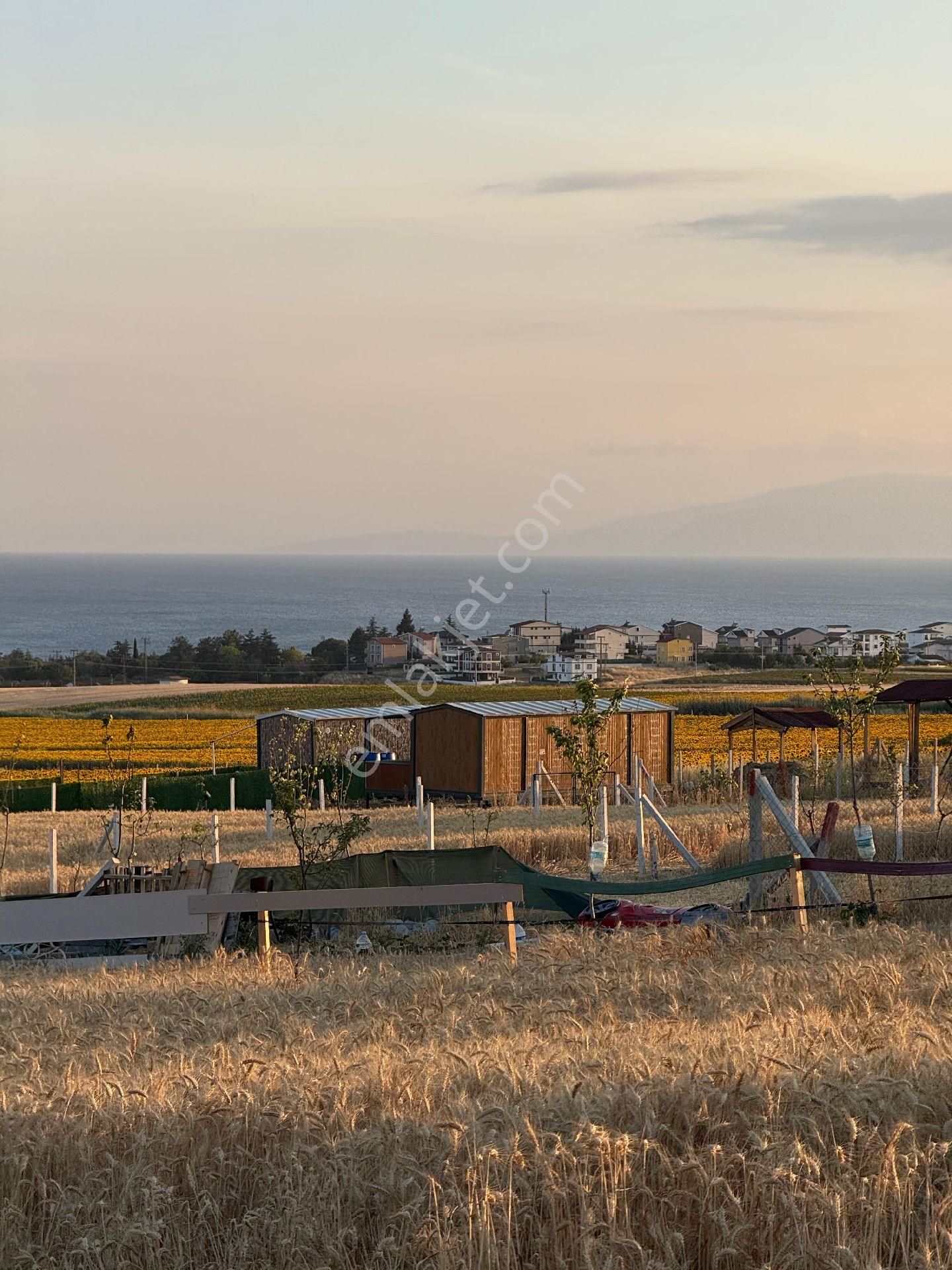 Resmi Tapulu Tekirdağ Marmaraereğlisi Çeşmeli Mahallesinde Yatırımlık Arsalar