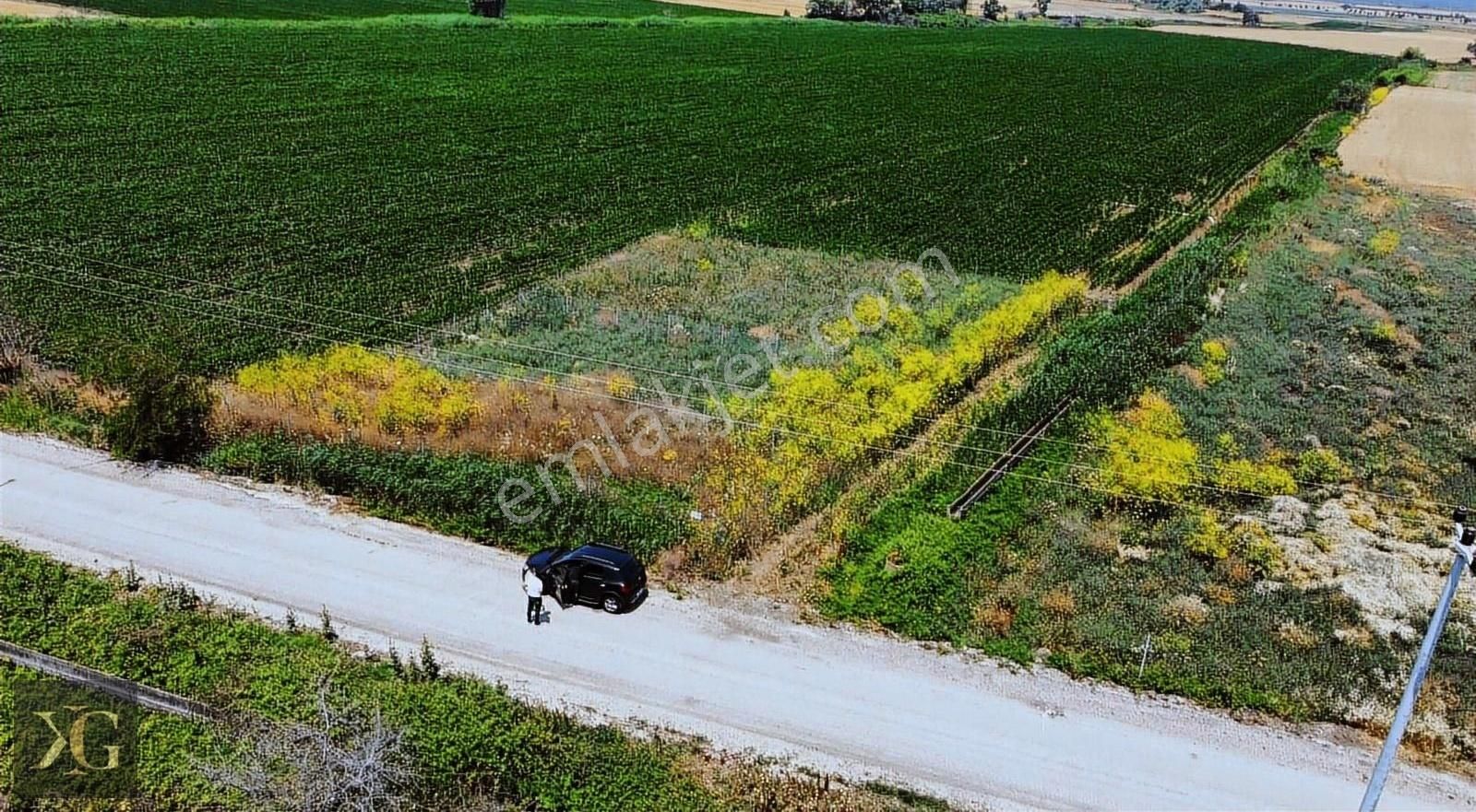 Pruva'dan Cadde Üzeri Satılık Kupon Hobi Bahçesi