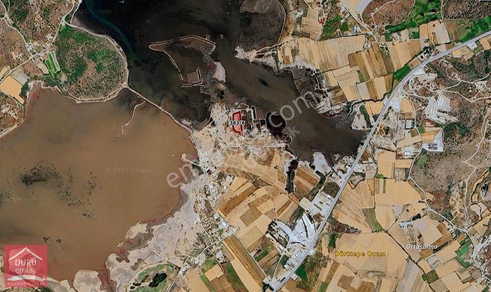 Milas Dörttepe'de Bodrum Milas Karayoluna 1km Mesafede 11d Tarla - Görsel 22