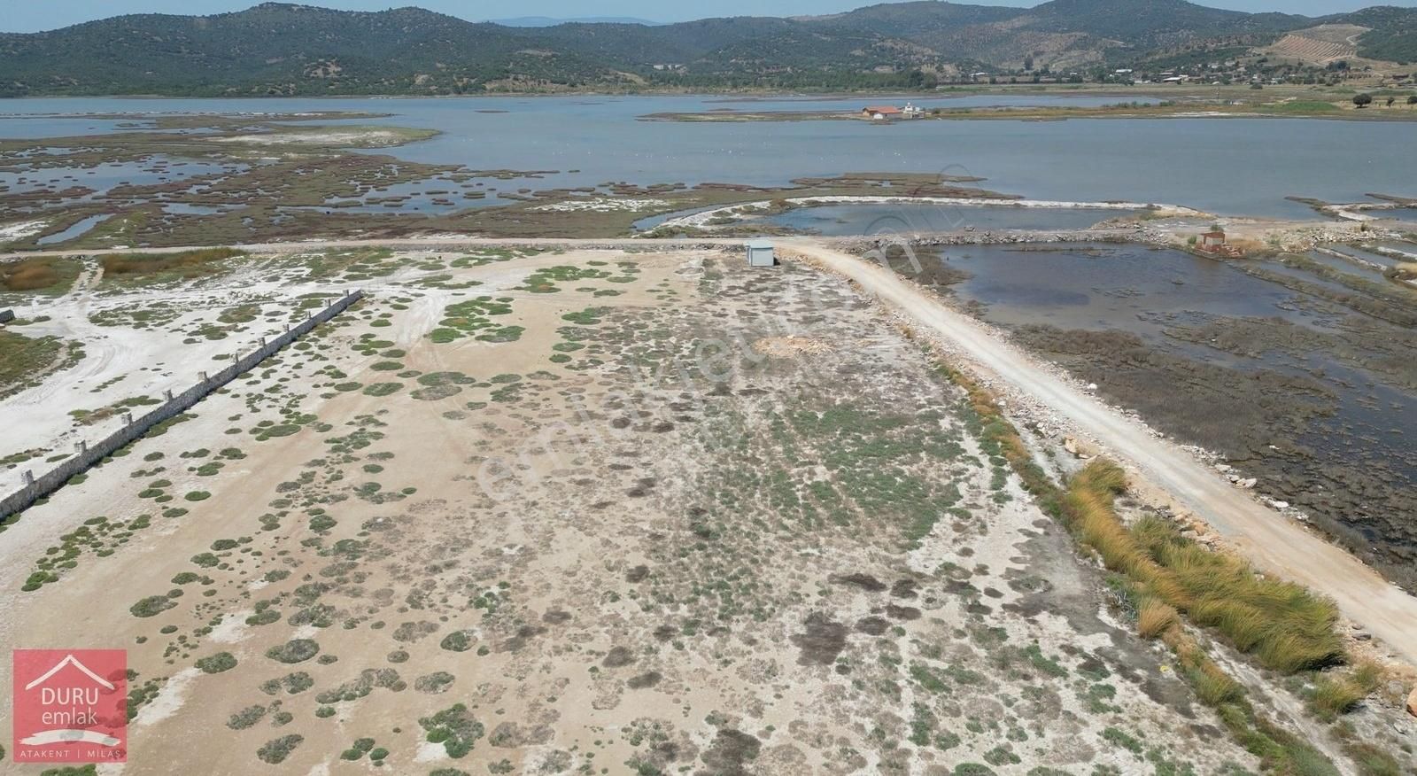 Milas Dörttepe'de Bodrum Milas Karayoluna 1km Mesafede 11d Tarla - Görsel 5