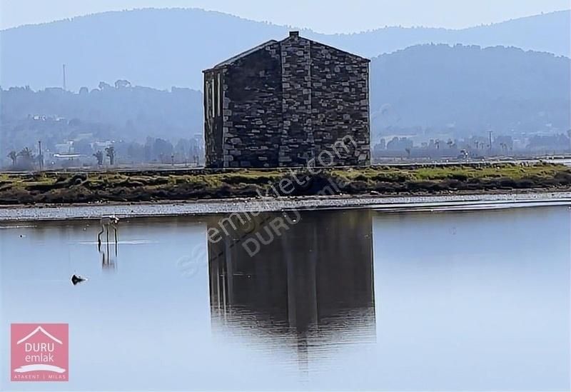 Milas Dörttepe'de Bodrum Milas Karayoluna 1km Mesafede 11d Tarla - Görsel 9