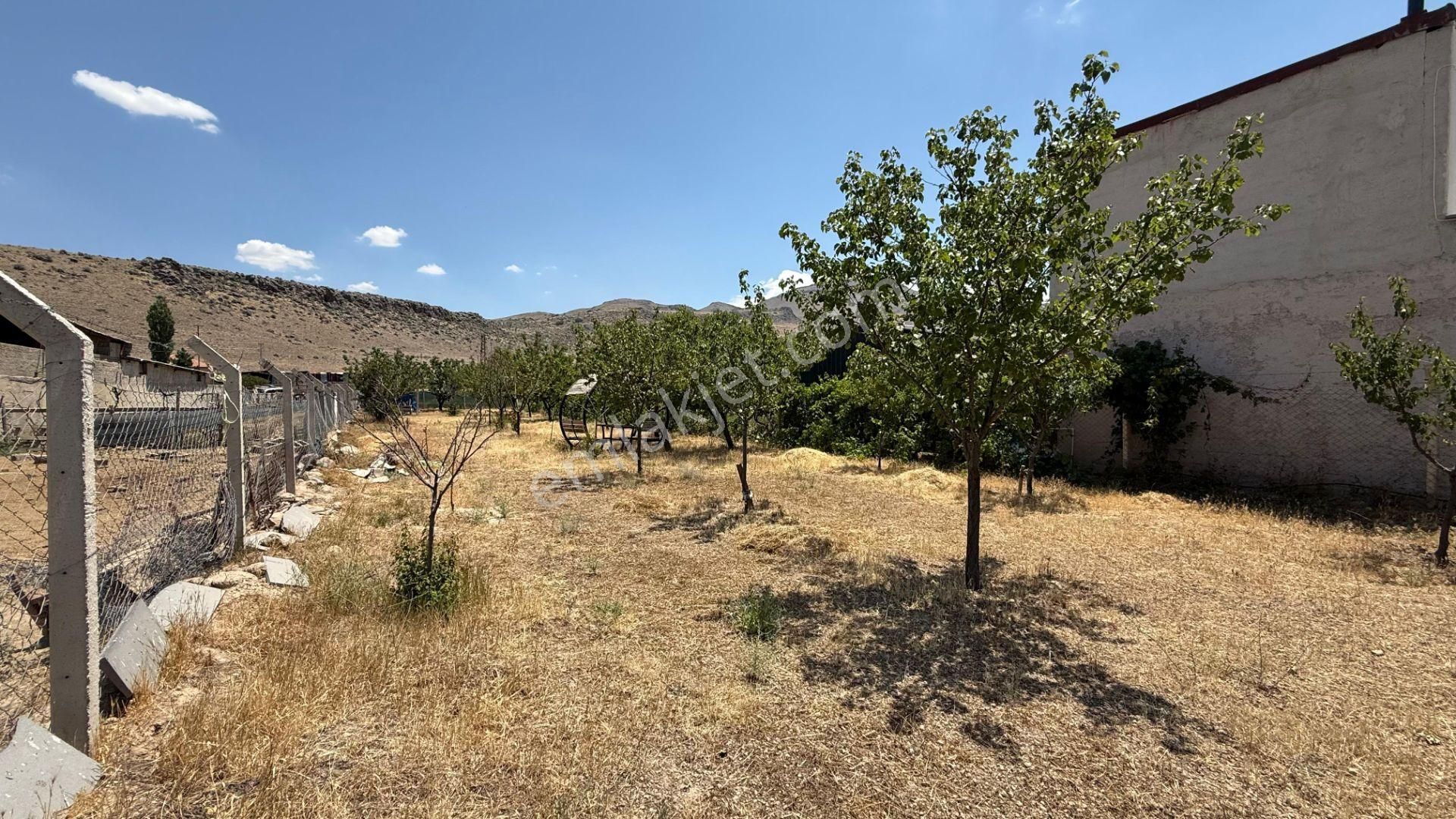 Öz Gaye Emlaktan Develi Güneyaşağı Çobanbağı Mevkinde Yola Sıfır Hobi Bahçesi