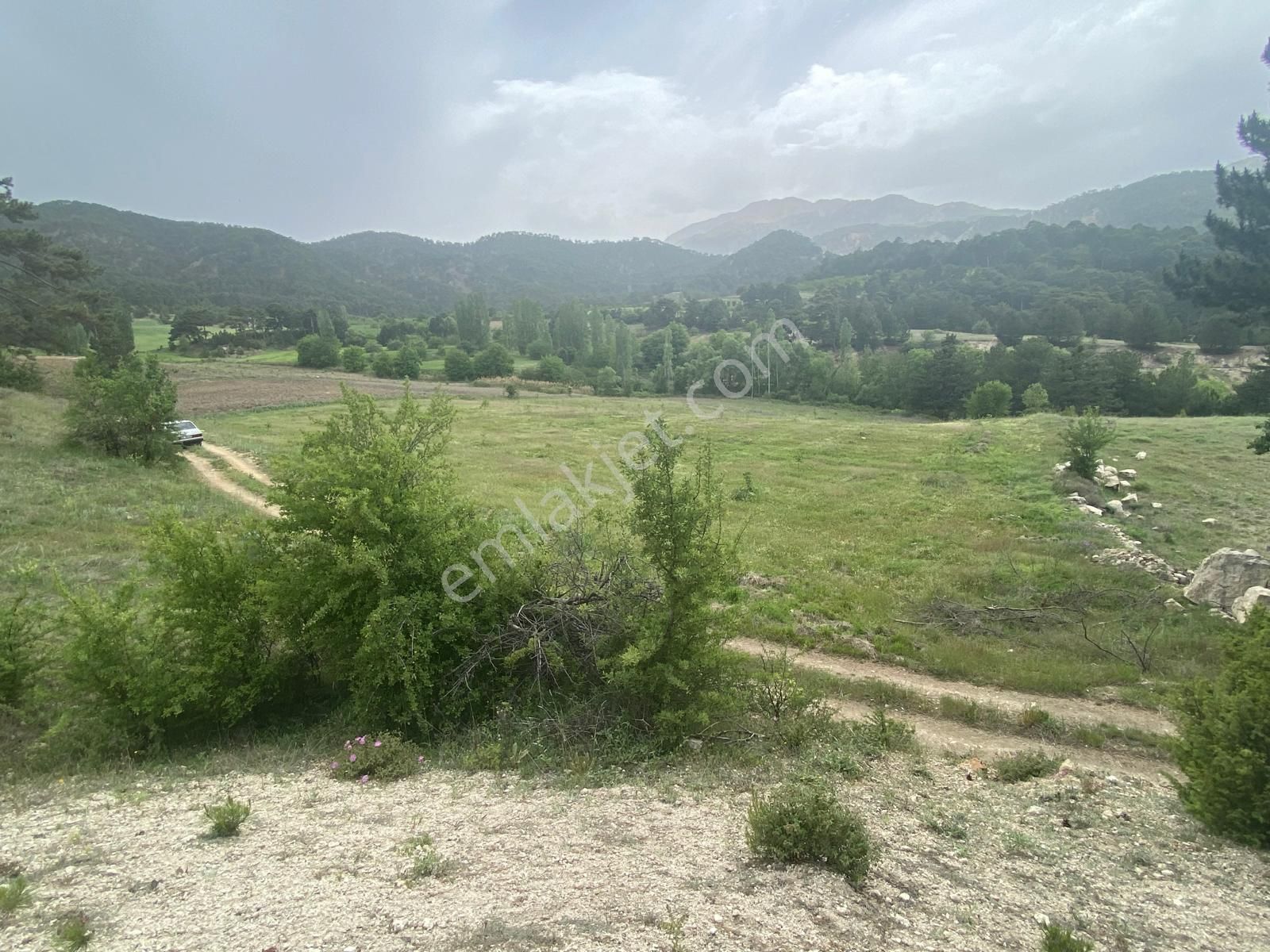 Denizli Honaz Aydınlar 19000 M2 Arazimiz Satılıktır - Görsel 2