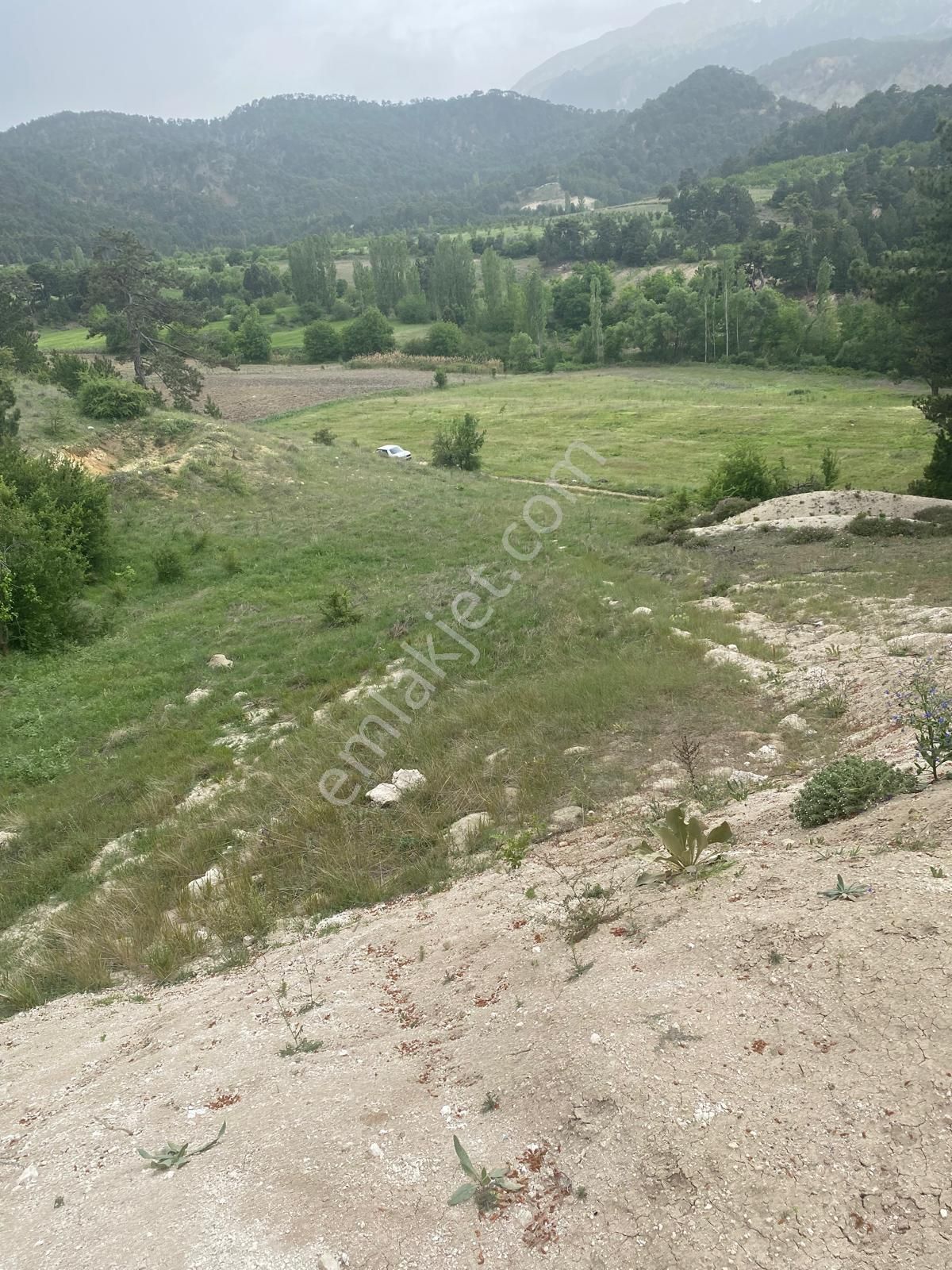 Denizli Honaz Aydınlar 19000 M2 Arazimiz Satılıktır - Görsel 3