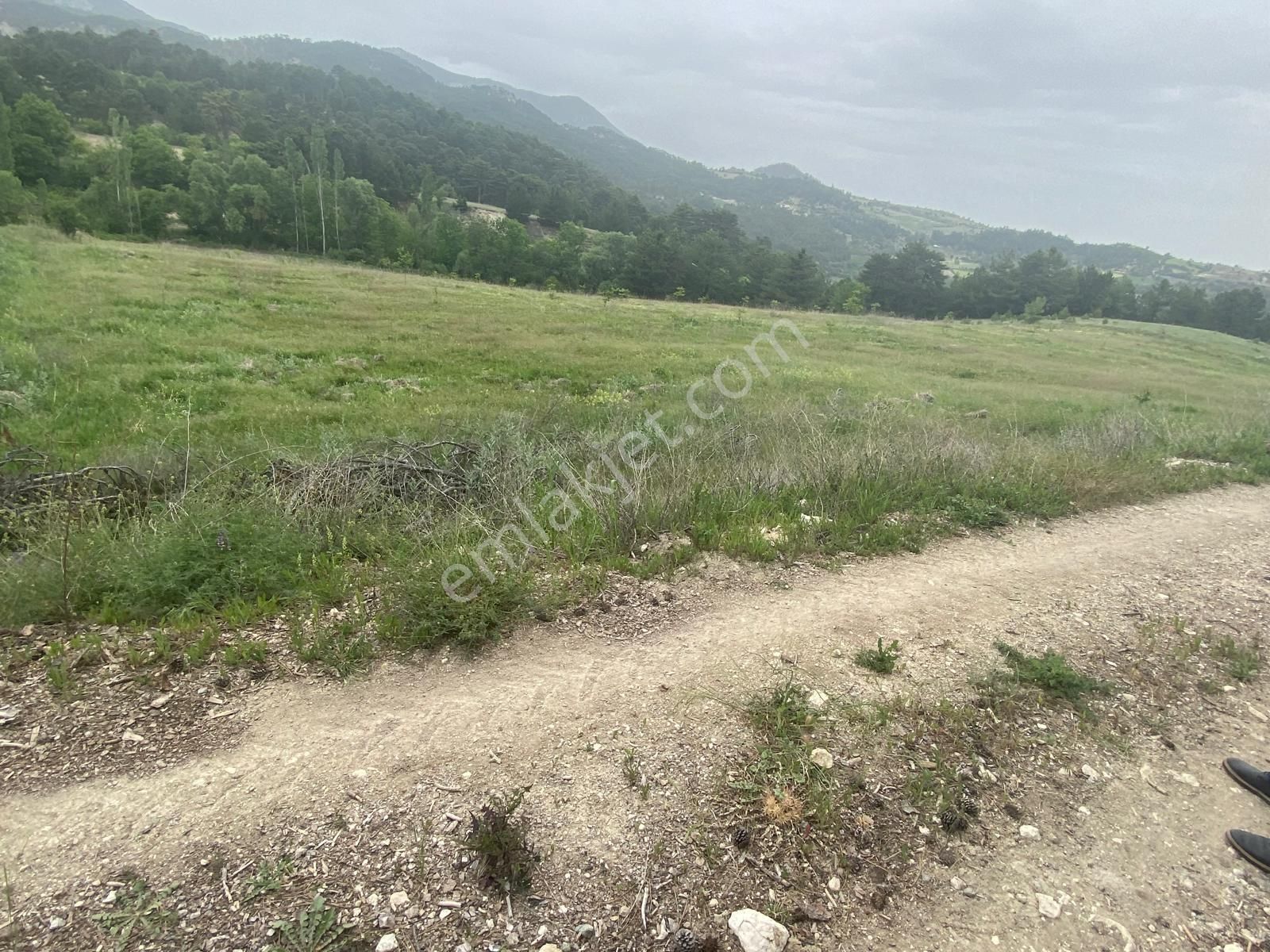 Denizli Honaz Aydınlarda 18500 Metre Kare Arazimiz Satılıktır - Görsel 4