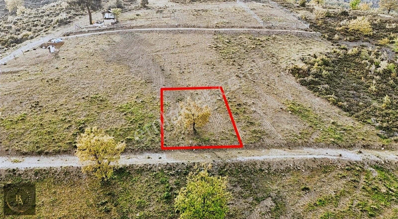 Bal'dan Kestel Nüshetiye Köyünde Satılık Hazır Bahçeler