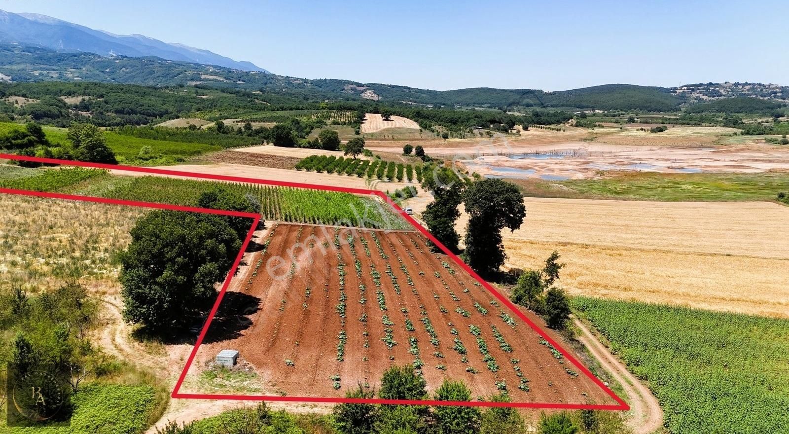 Bal'dan Kestel Kozluören'de Satılık 16.282 M2 Tarla