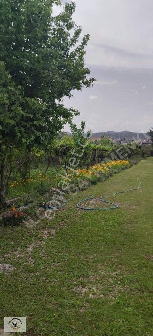 Falcon Dan Çiftlik De 650m²fırsat Arsa