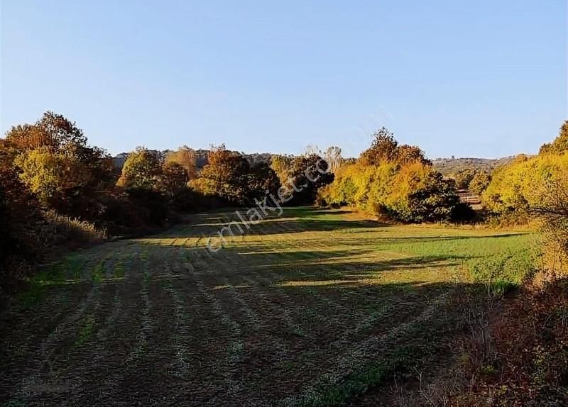 İsa Yılmaz'dan 2.5kat Villa İmarlı Arsalar Tek Tapu Söğütalan - Görsel 7