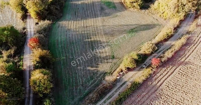 İsa Yılmaz'dan 2.5kat Villa İmarlı Arsalar Tek Tapu Söğütalan