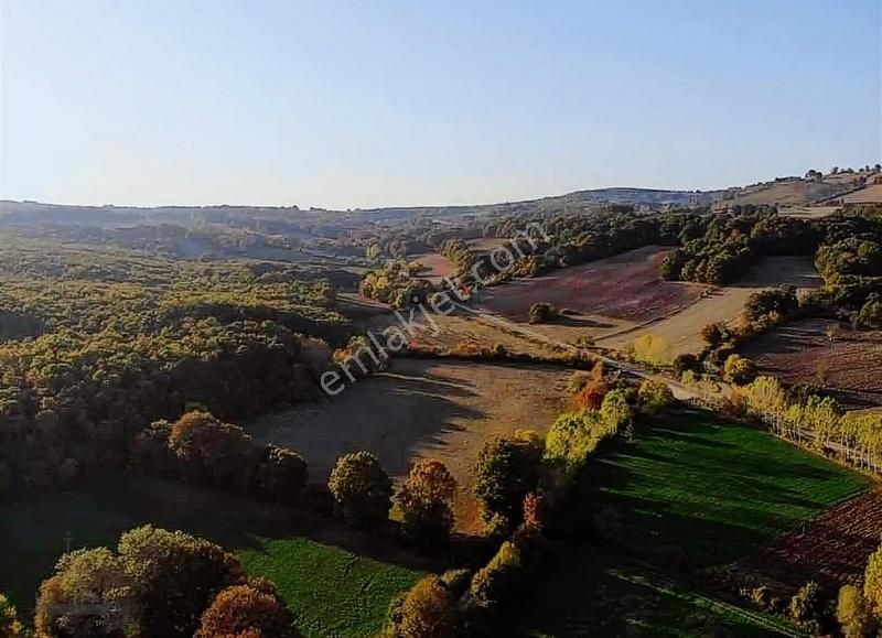 İsa Yılmaz'dan 2.5kat Villa İmarlı Arsalar Tek Tapu Söğütalan - Görsel 5