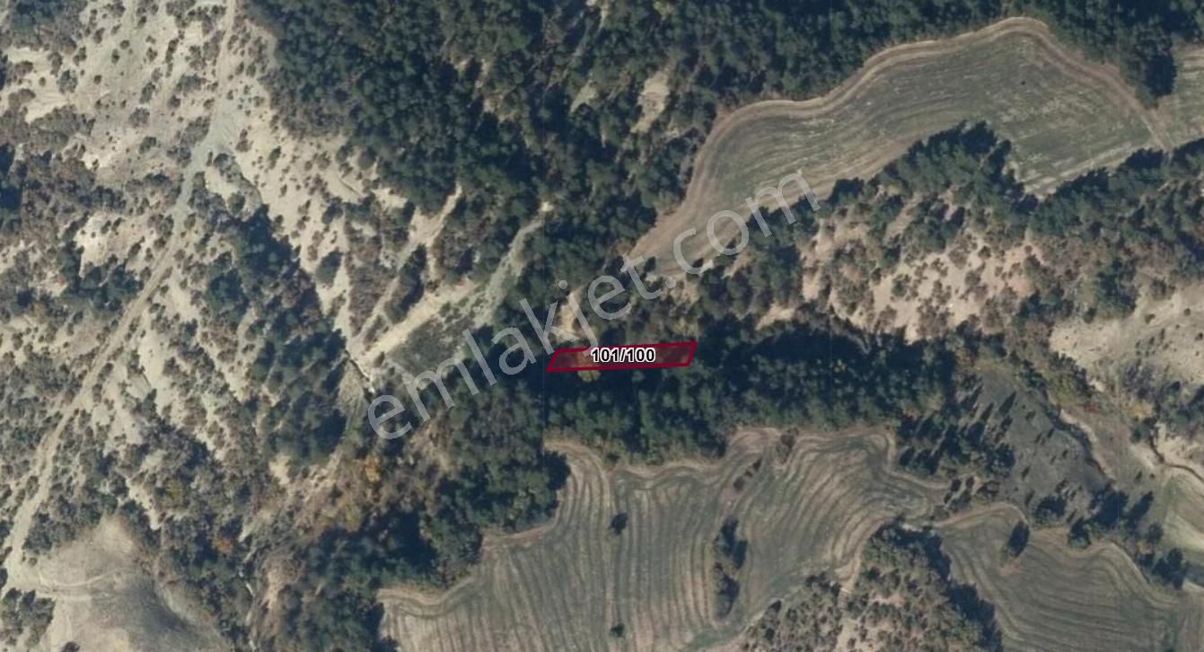 Bolu Göynük Köybaşı Köyünde 444 M² Bahçemiz Satılıktır.