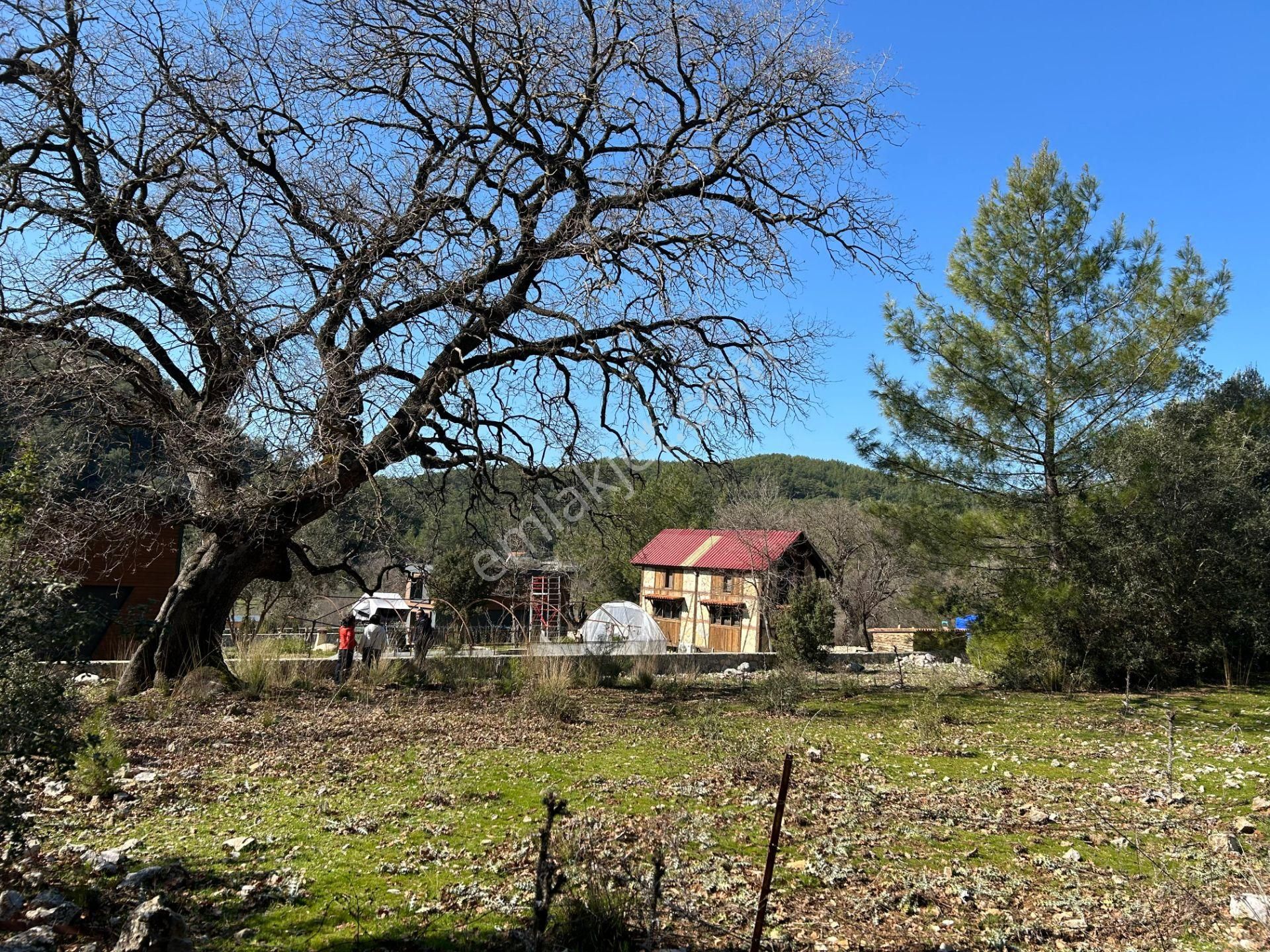 Fethiye Gökçeovacık'ta Doğayla İç İçe 1.092 M² Müstakil Taplu Yatırımlık Tarla!