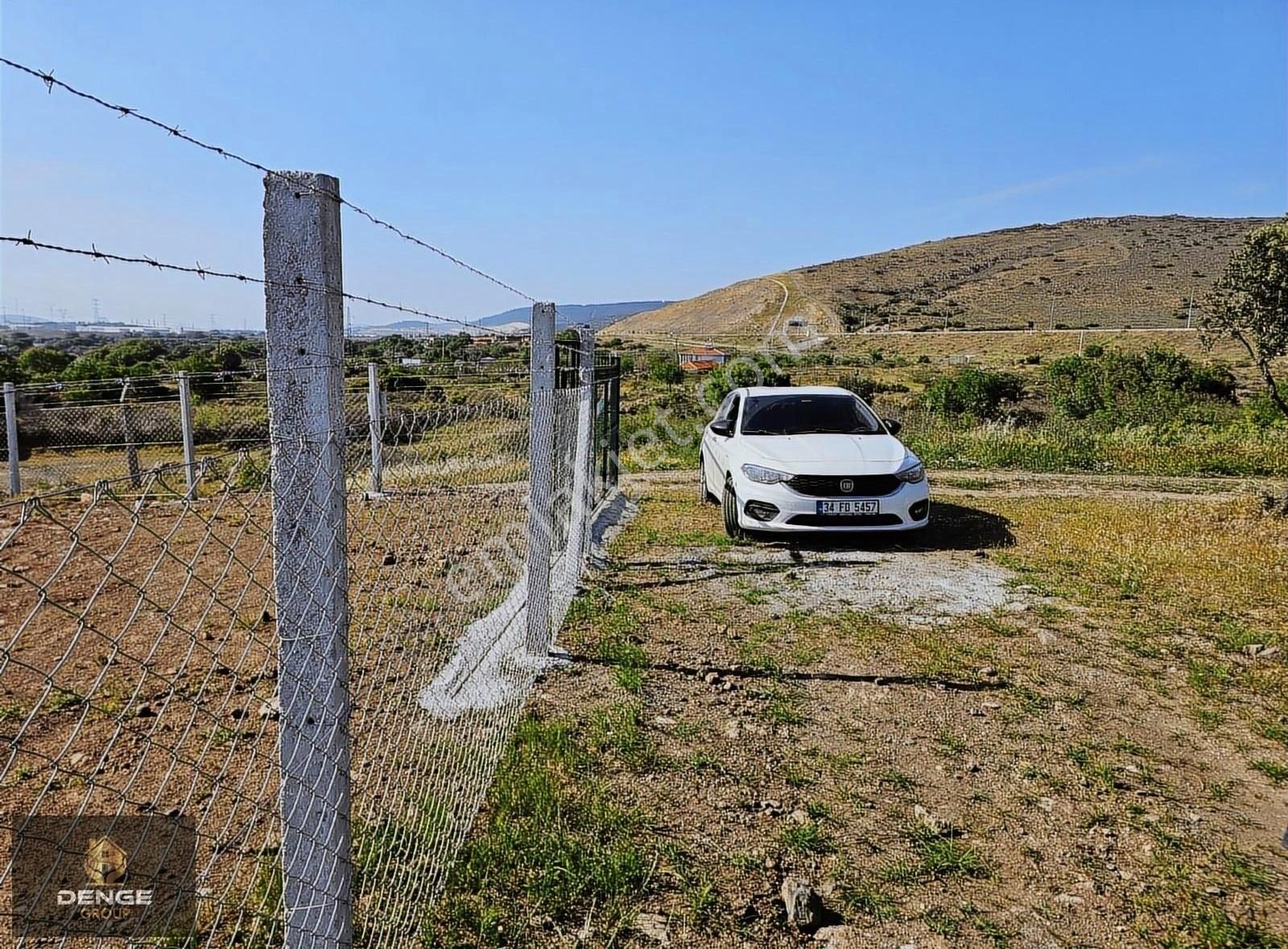 Aliağa Helvacıda Bol Zeytlinli Tarla - Görsel 12