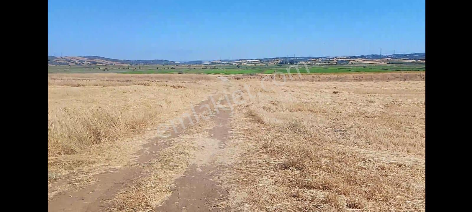 Çanakkale Biga Bekirli Mahallesinde Satılık Tarla Yatırım İçin Uygun - Görsel 20