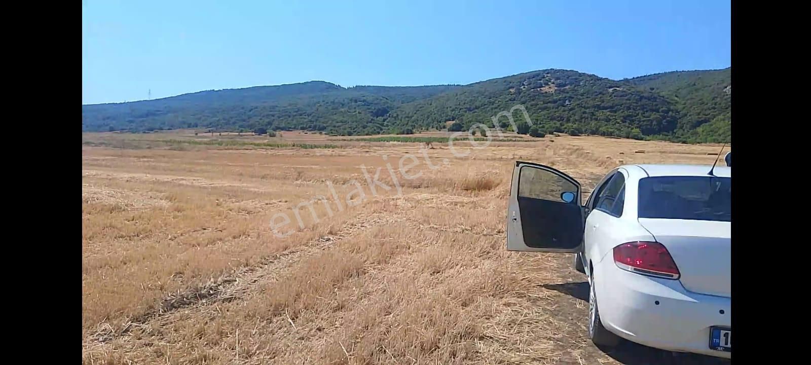 Çanakkale Biga Bekirli Mahallesinde Satılık Tarla Yatırım İçin Uygun - Görsel 19