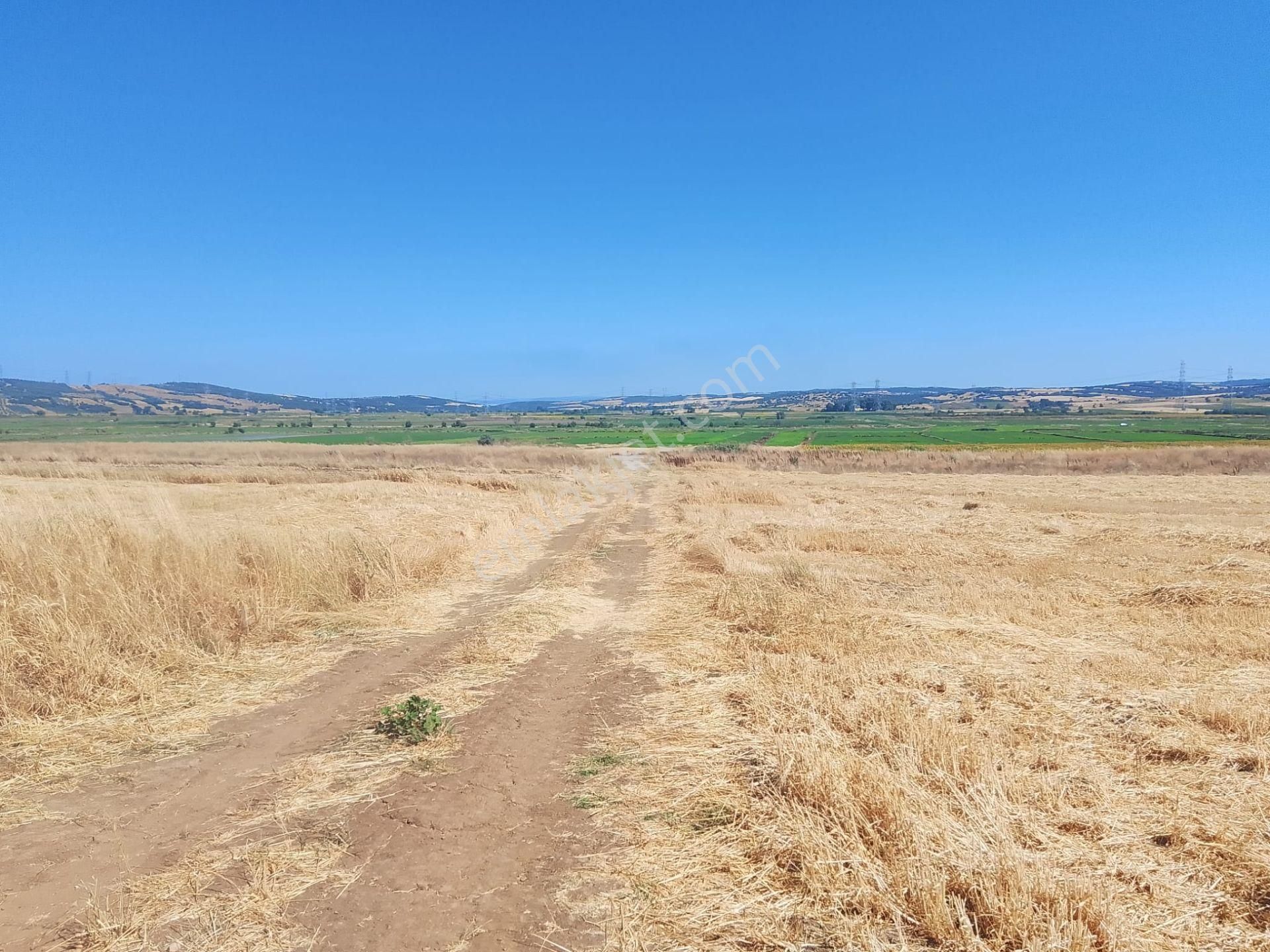 Çanakkale Biga Bekirli Mahallesinde Satılık Tarla Yatırım İçin Uygun
