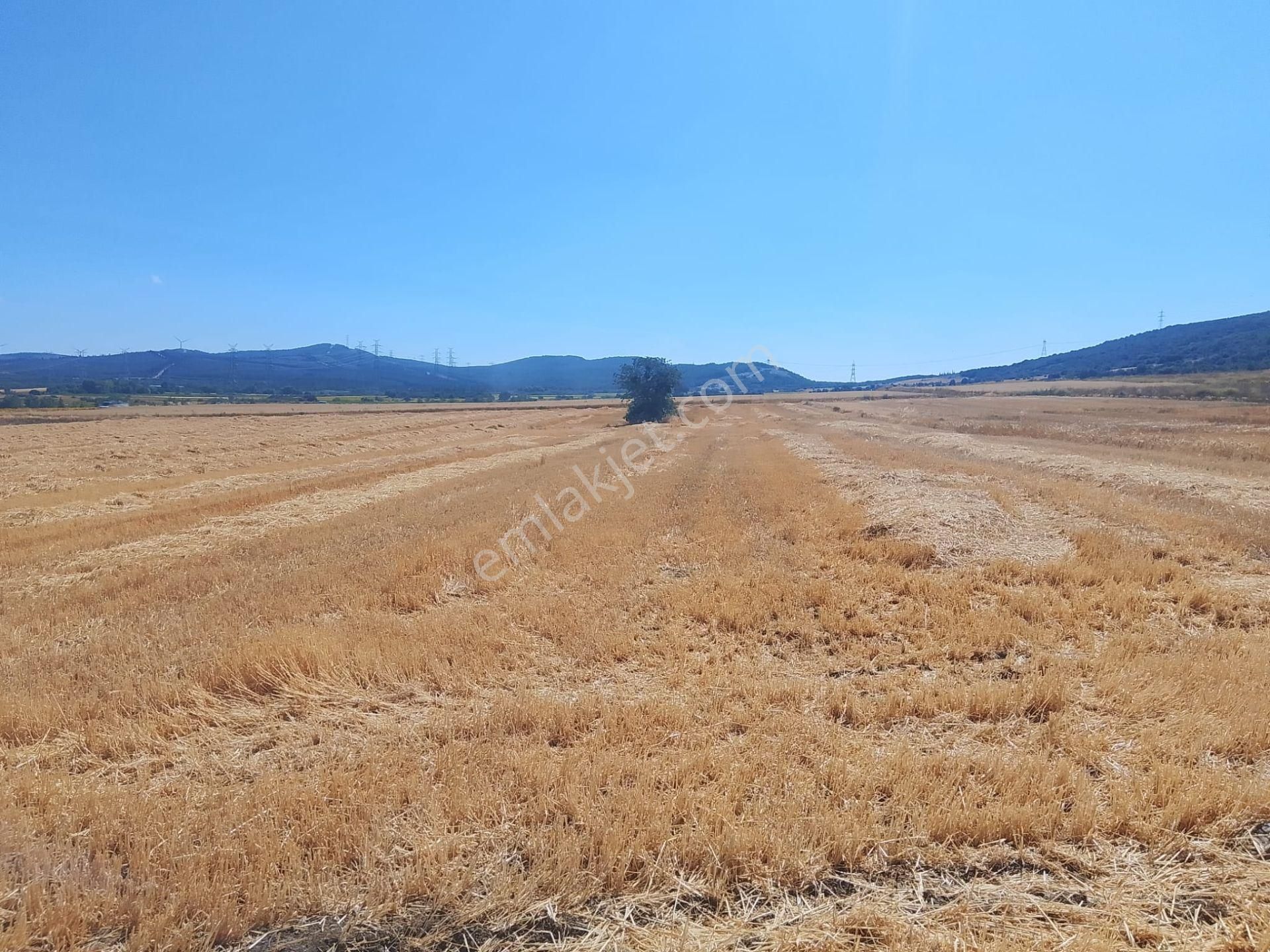 Çanakkale Biga Bekirli Mahallesinde Satılık Tarla Yatırım İçin Uygun - Görsel 21