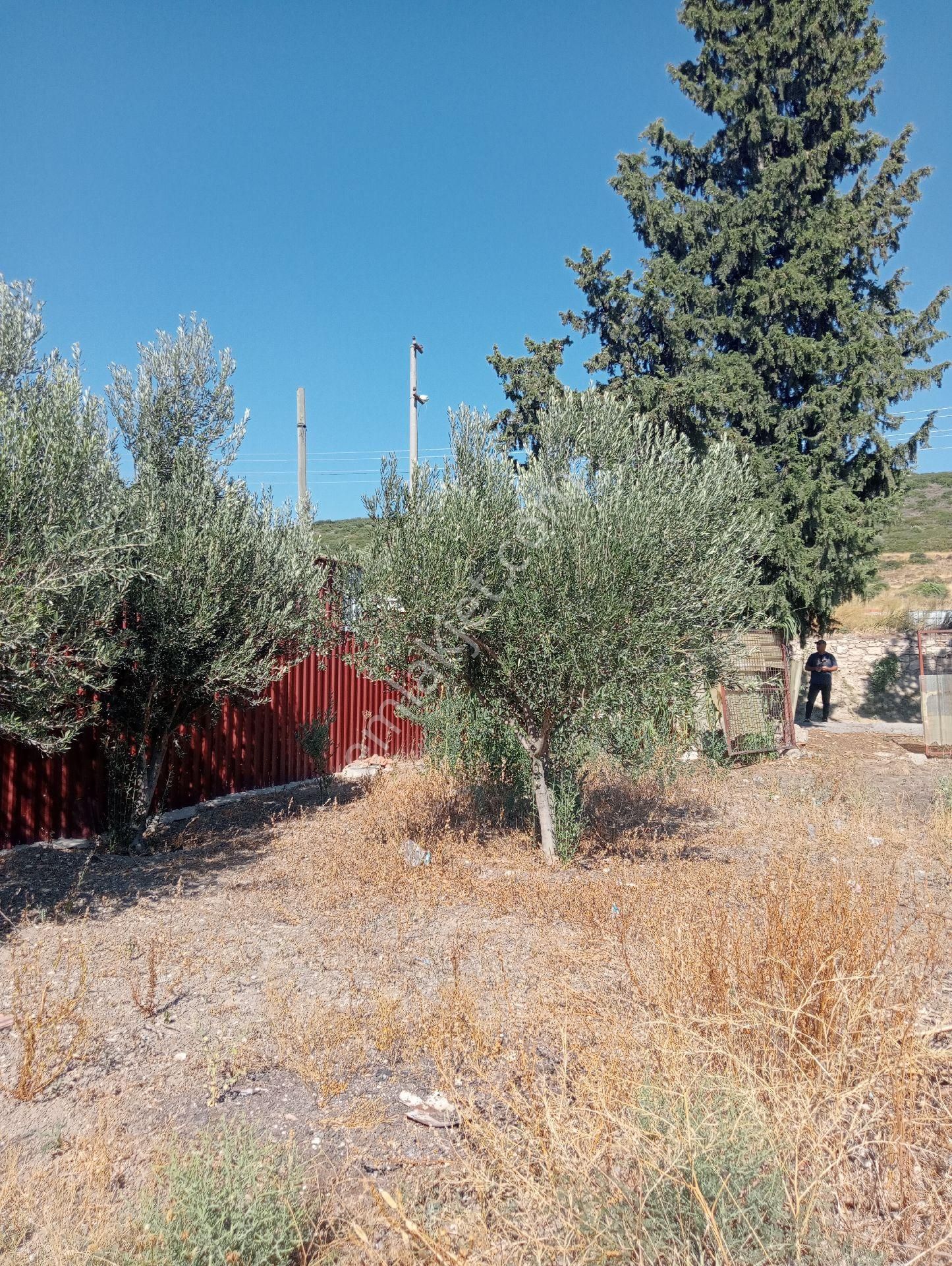 Yatırımlk Fıırsat Arsa Şehir Kalabalığından Uzak İhtiyaçlara Yakın - Görsel 3