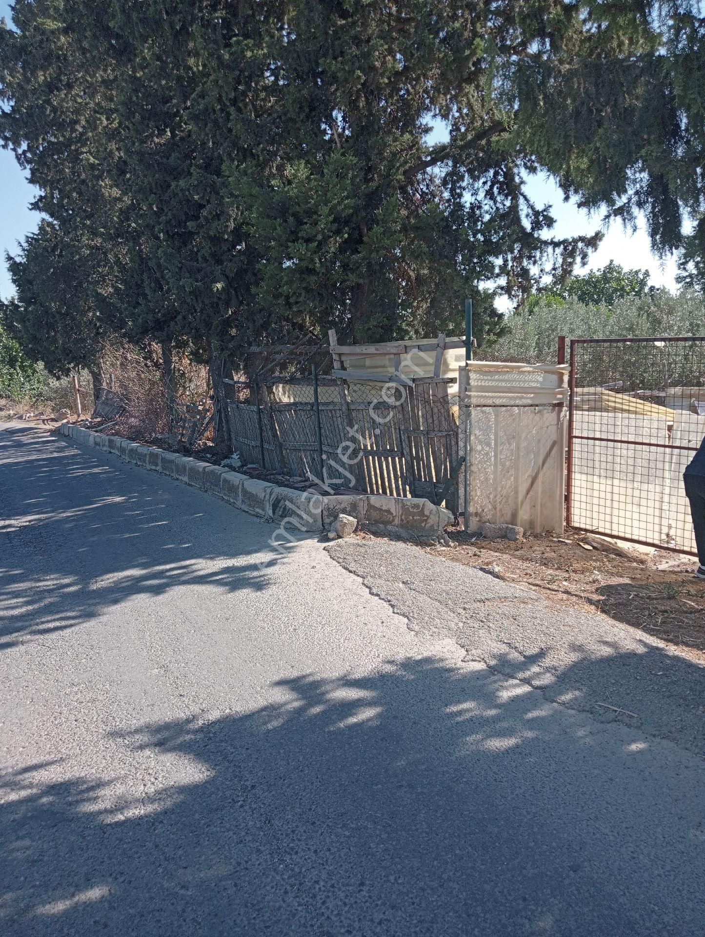 Yatırımlk Fıırsat Arsa Şehir Kalabalığından Uzak İhtiyaçlara Yakın - Görsel 2