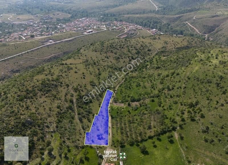 Toprak Yatırımcısı'ndan Kocatepe'de 2958m² Bahçelik Arazi