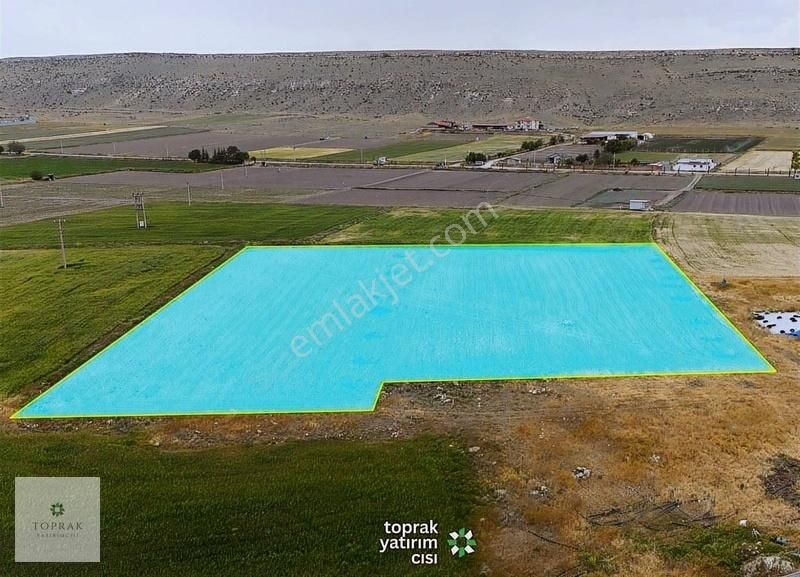 Çavdarlı'da Çiftlik Yapımına Uygun 7000m² Tarla!