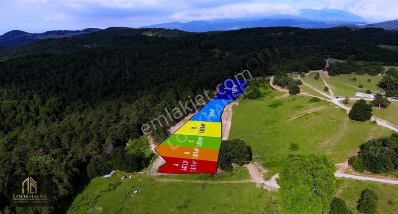 Atlas'da Bir Tarafı Orman Bir Tarafı Yol 1819m² Muhteşem Bahçe