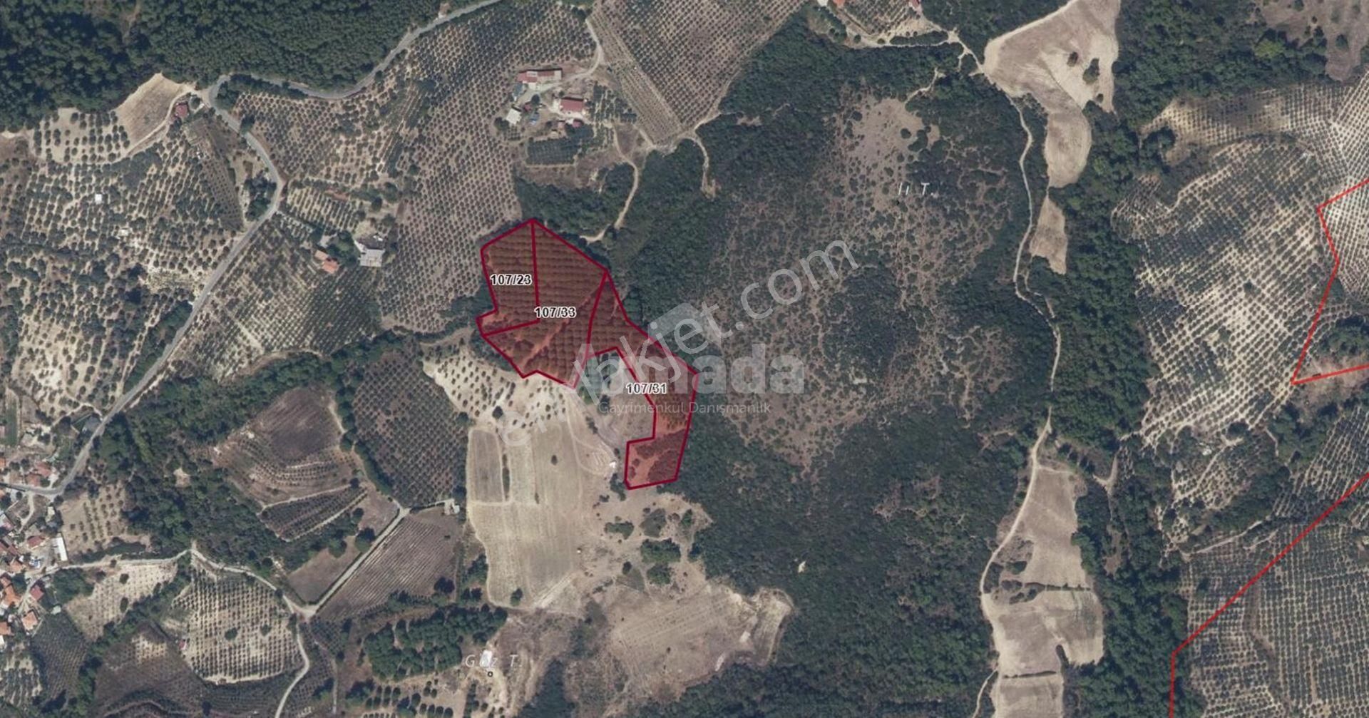 Caferli Köyü'nde Full Deniz Manzaralı Yatırımlık Arazi - Görsel 2