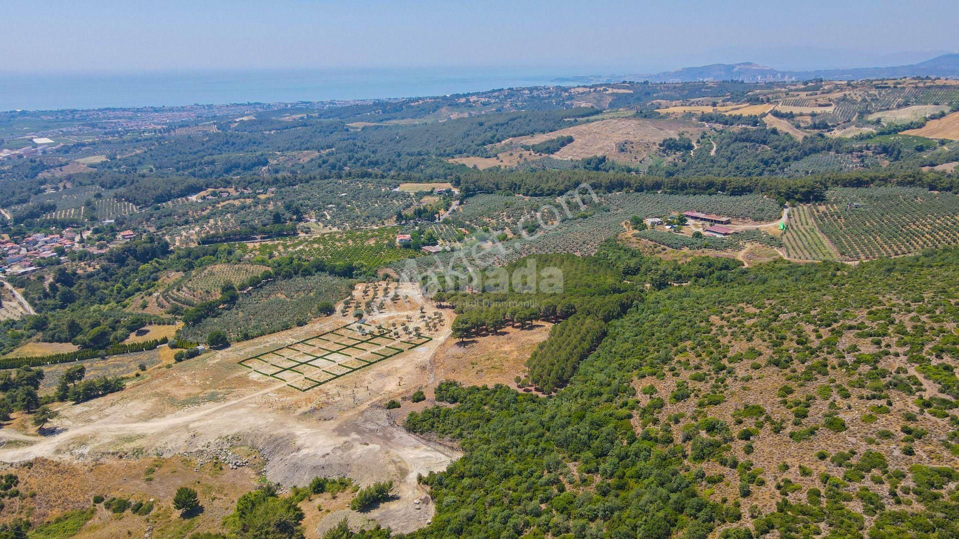 Caferli Köyü'nde Full Deniz Manzaralı Yatırımlık Arazi - Görsel 4