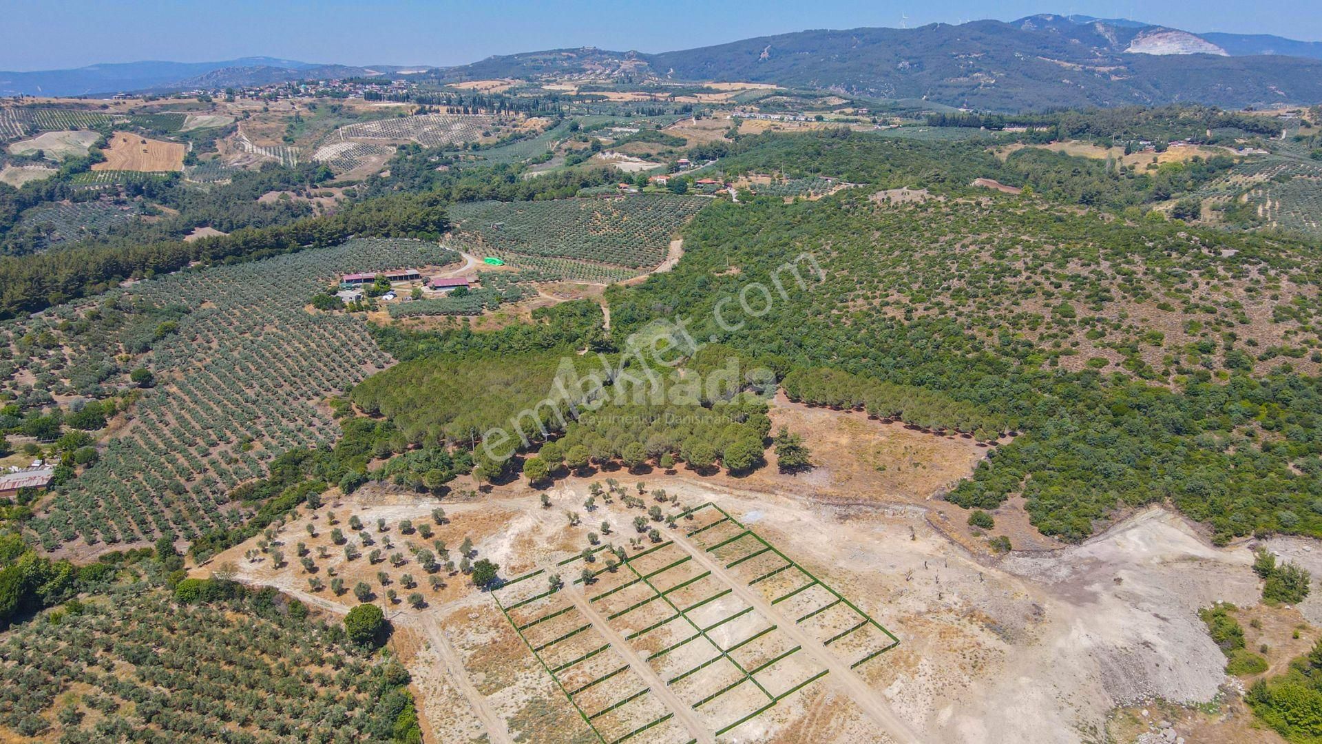 Caferli Köyü'nde Full Deniz Manzaralı Yatırımlık Arazi - Görsel 3