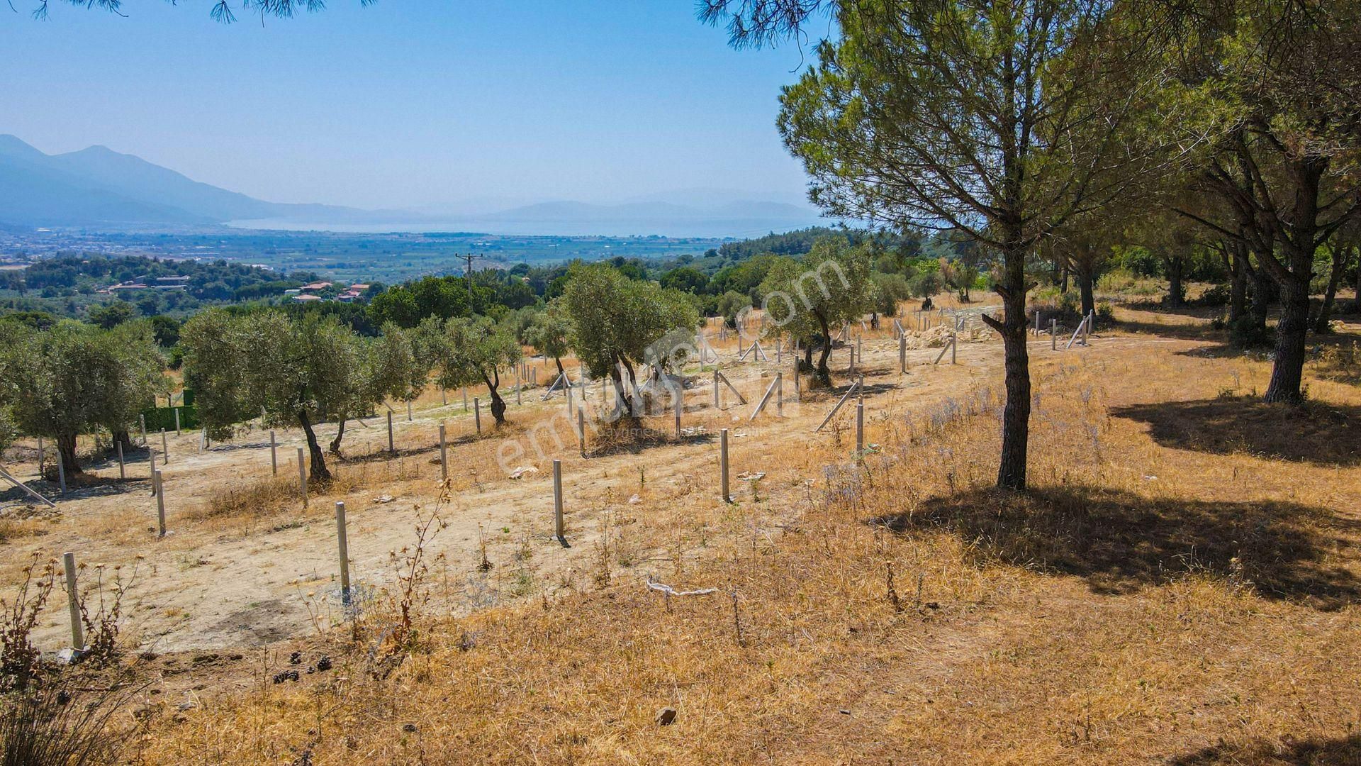 Caferli Köyü'nde Full Deniz Manzaralı Yatırımlık Arazi - Görsel 8