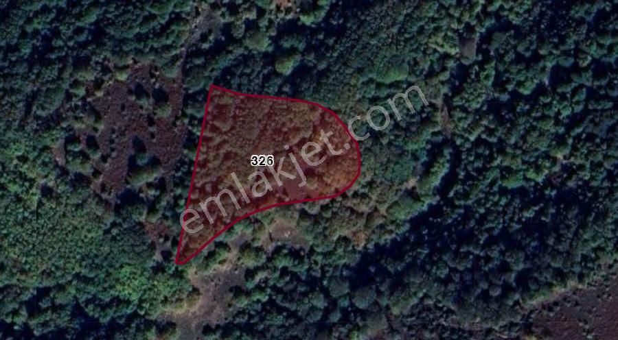 Balıkesir Gönen Çobanhamidiye 4900 M² Tarlamız Satılıktır.
