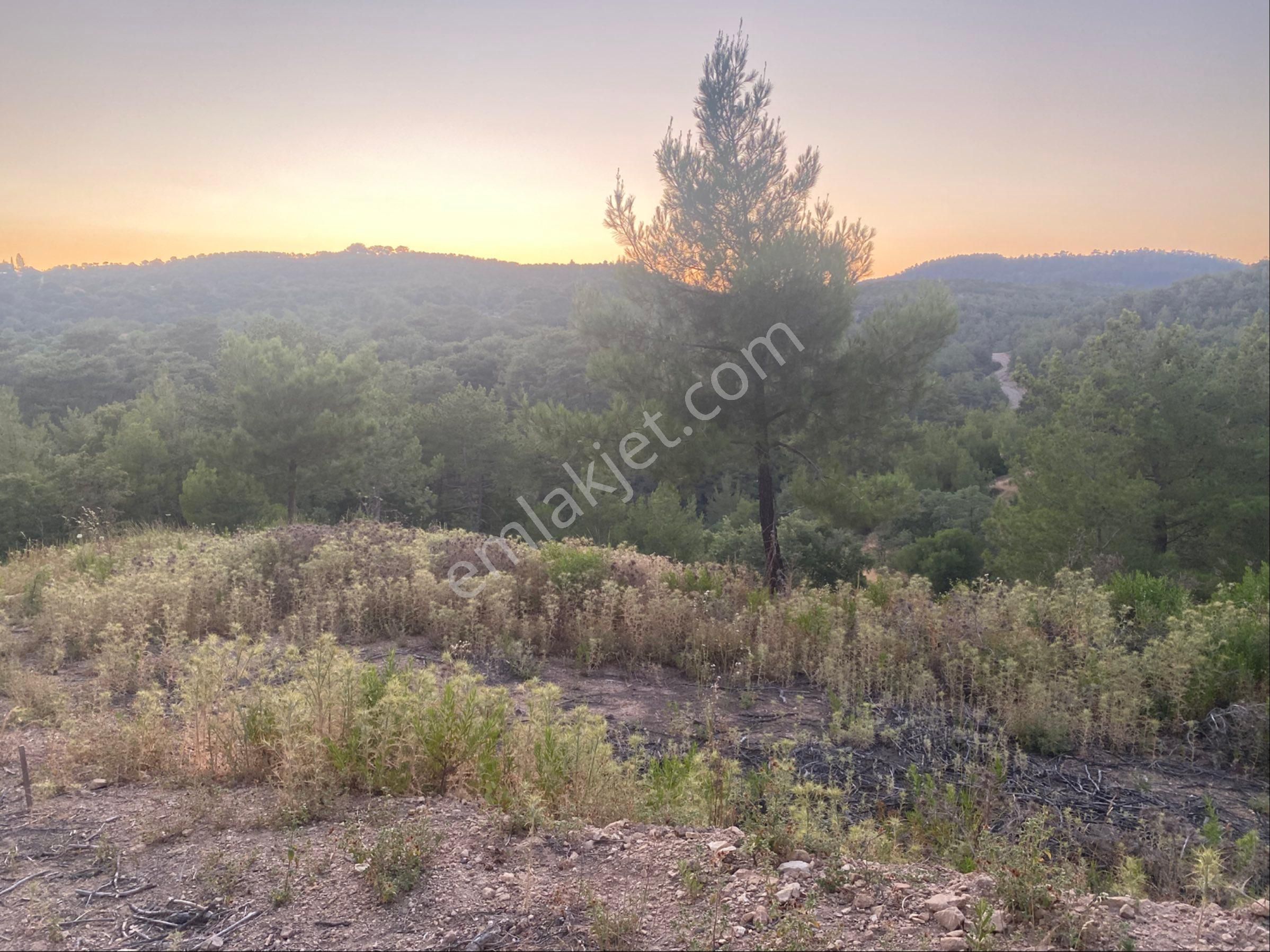 İgo Emlaktan Demirci Köyü Dibinde Tarla - Görsel 9