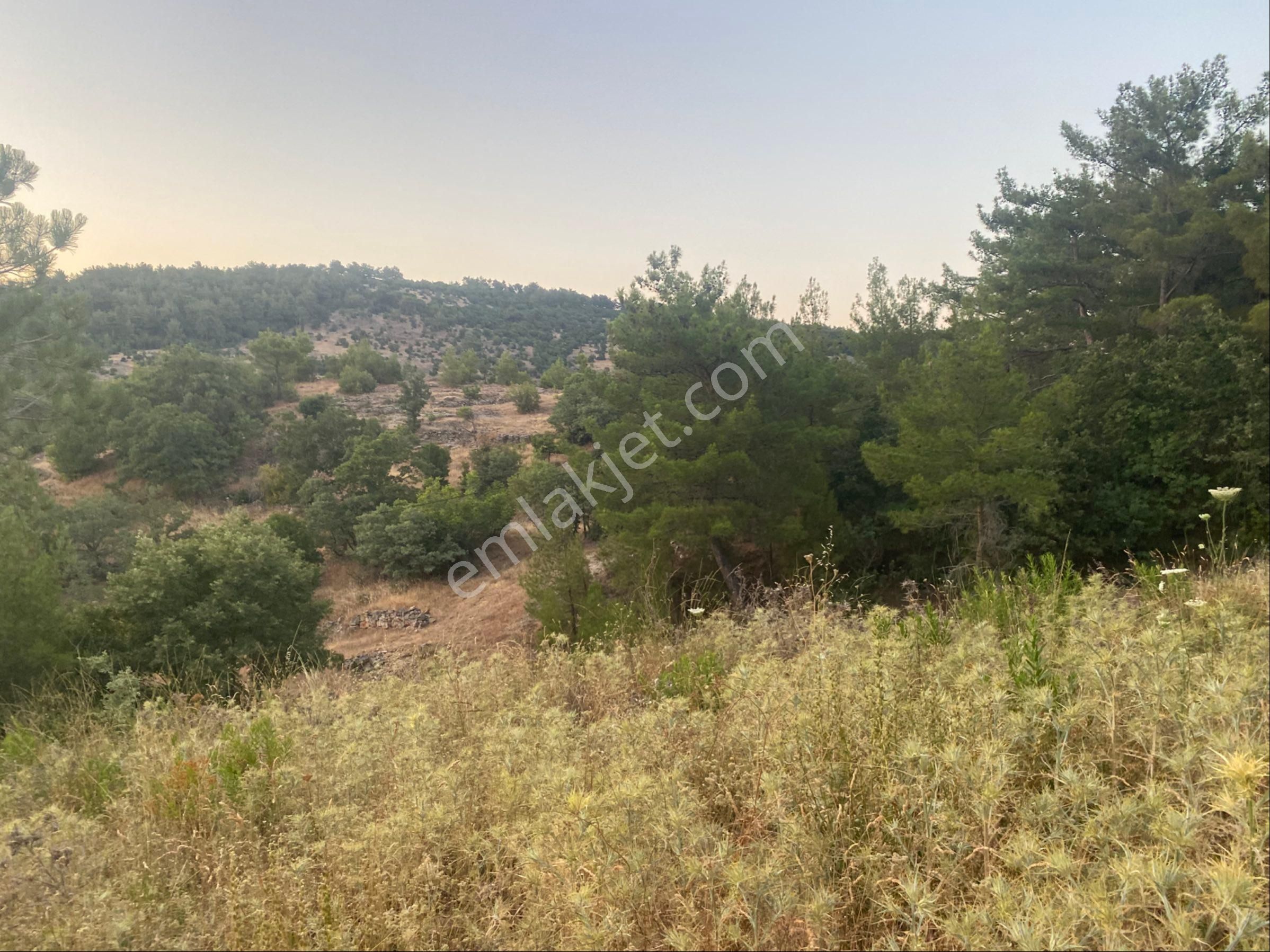 İgo Emlaktan Demirci Köyü Dibinde Tarla - Görsel 5