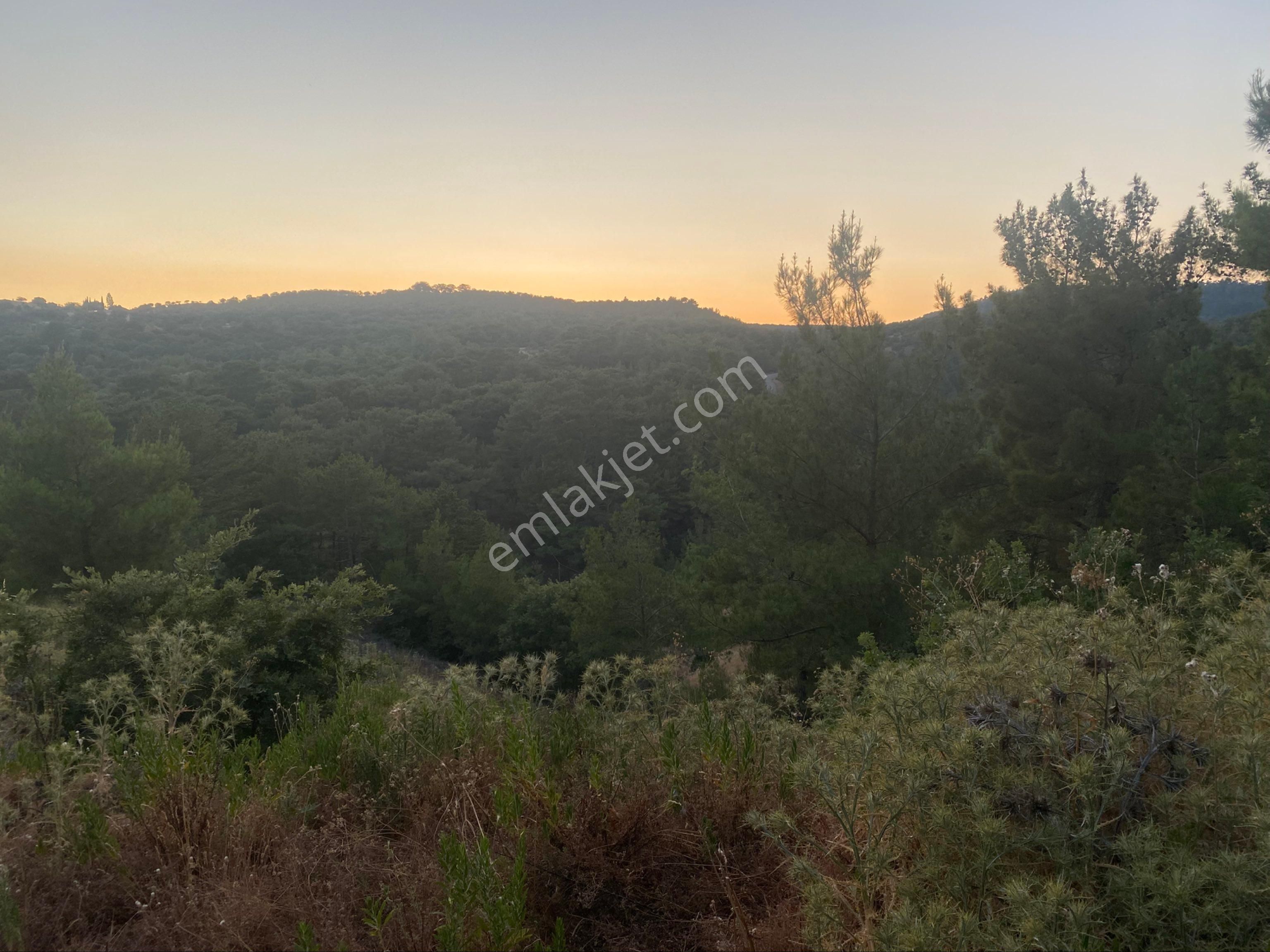 İgo Emlaktan Demirci Köyü Dibinde Tarla - Görsel 12