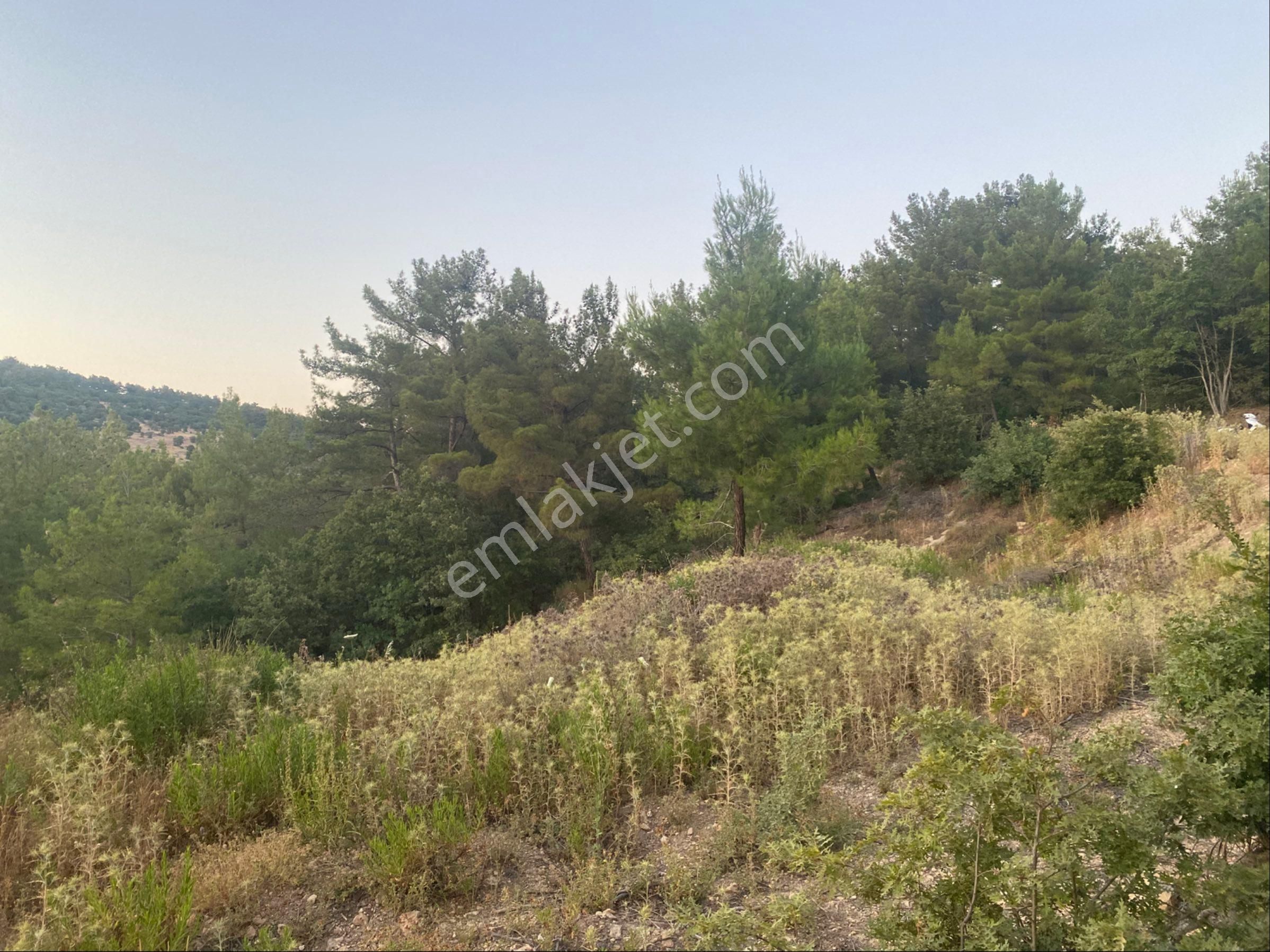 İgo Emlaktan Demirci Köyü Dibinde Tarla - Görsel 2