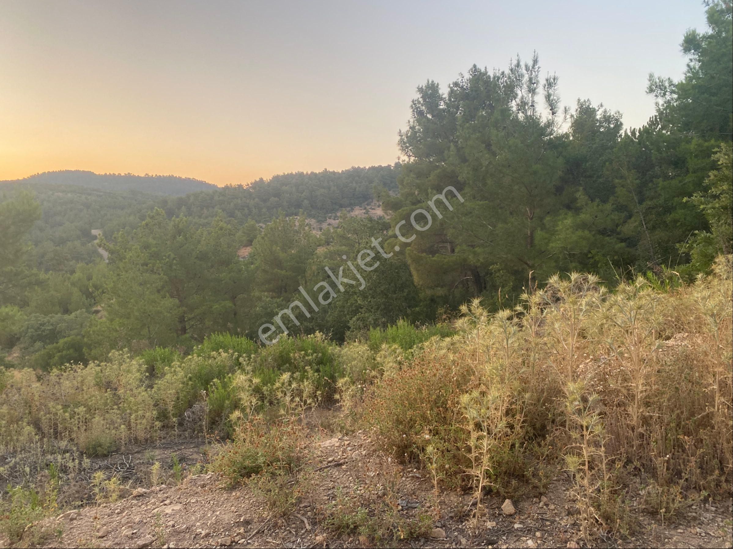 İgo Emlaktan Demirci Köyü Dibinde Tarla - Görsel 10