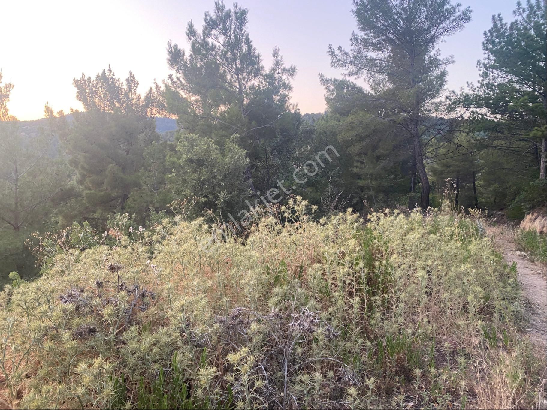 İgo Emlaktan Demirci Köyü Dibinde Tarla - Görsel 13