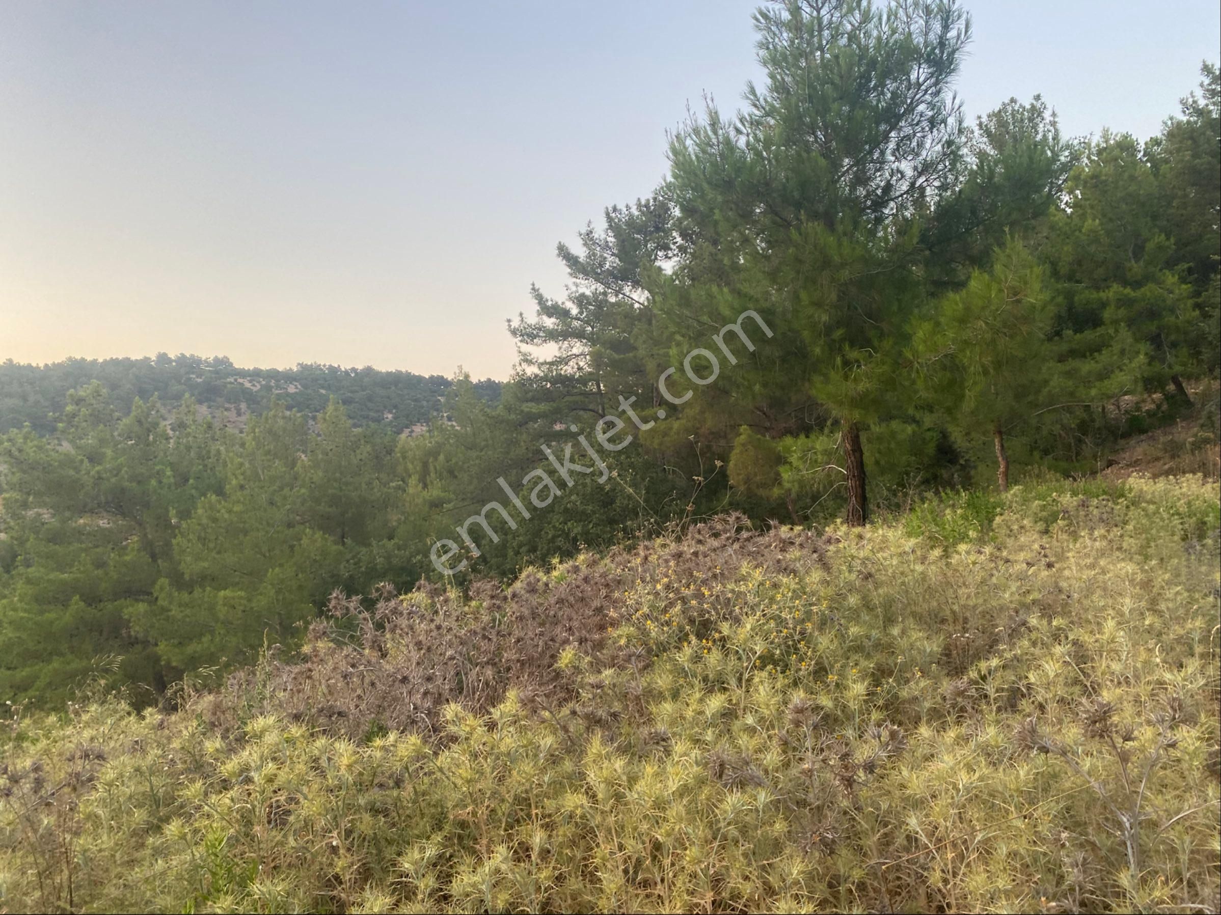 İgo Emlaktan Demirci Köyü Dibinde Tarla - Görsel 7