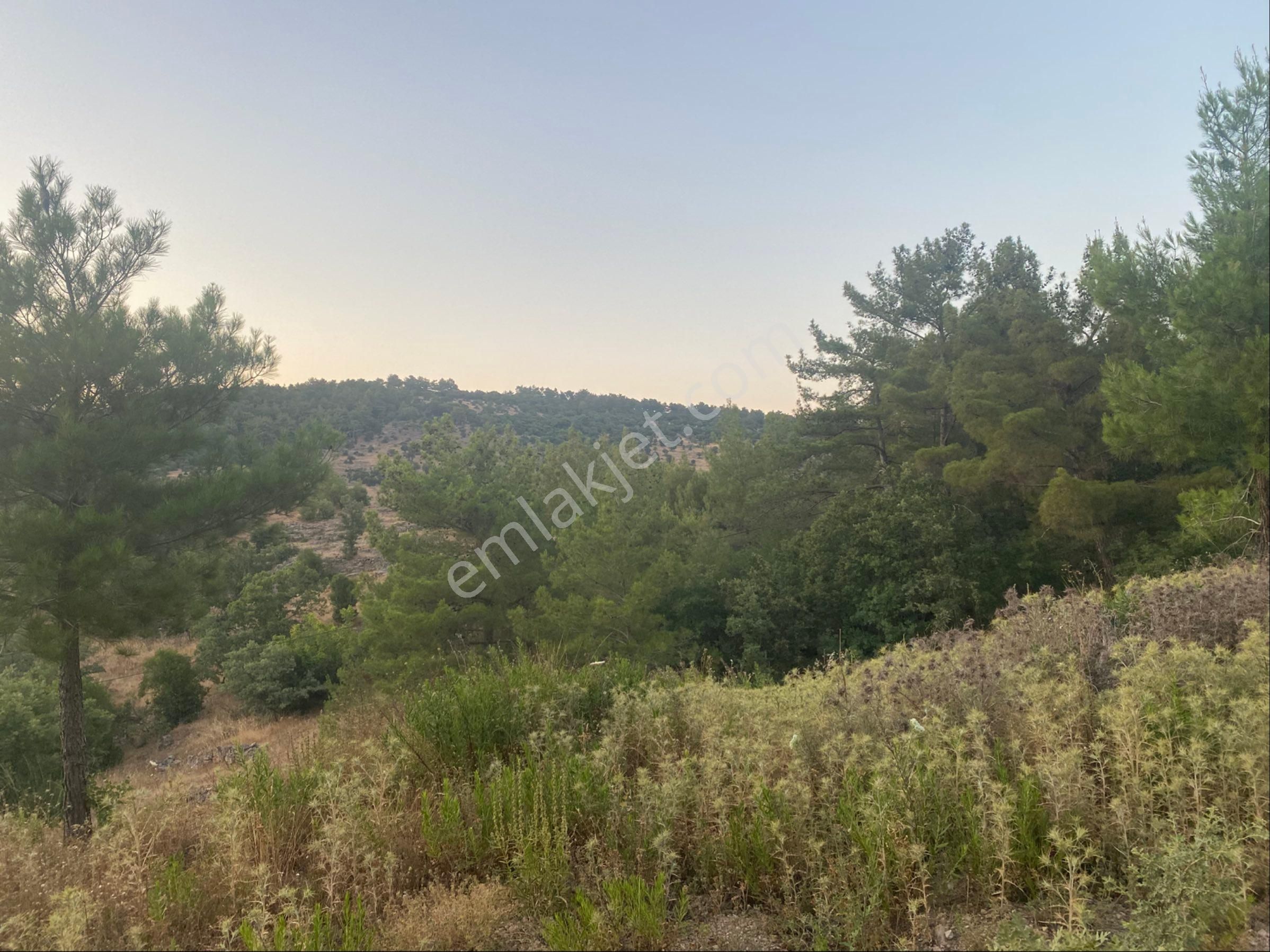 İgo Emlaktan Demirci Köyü Dibinde Tarla