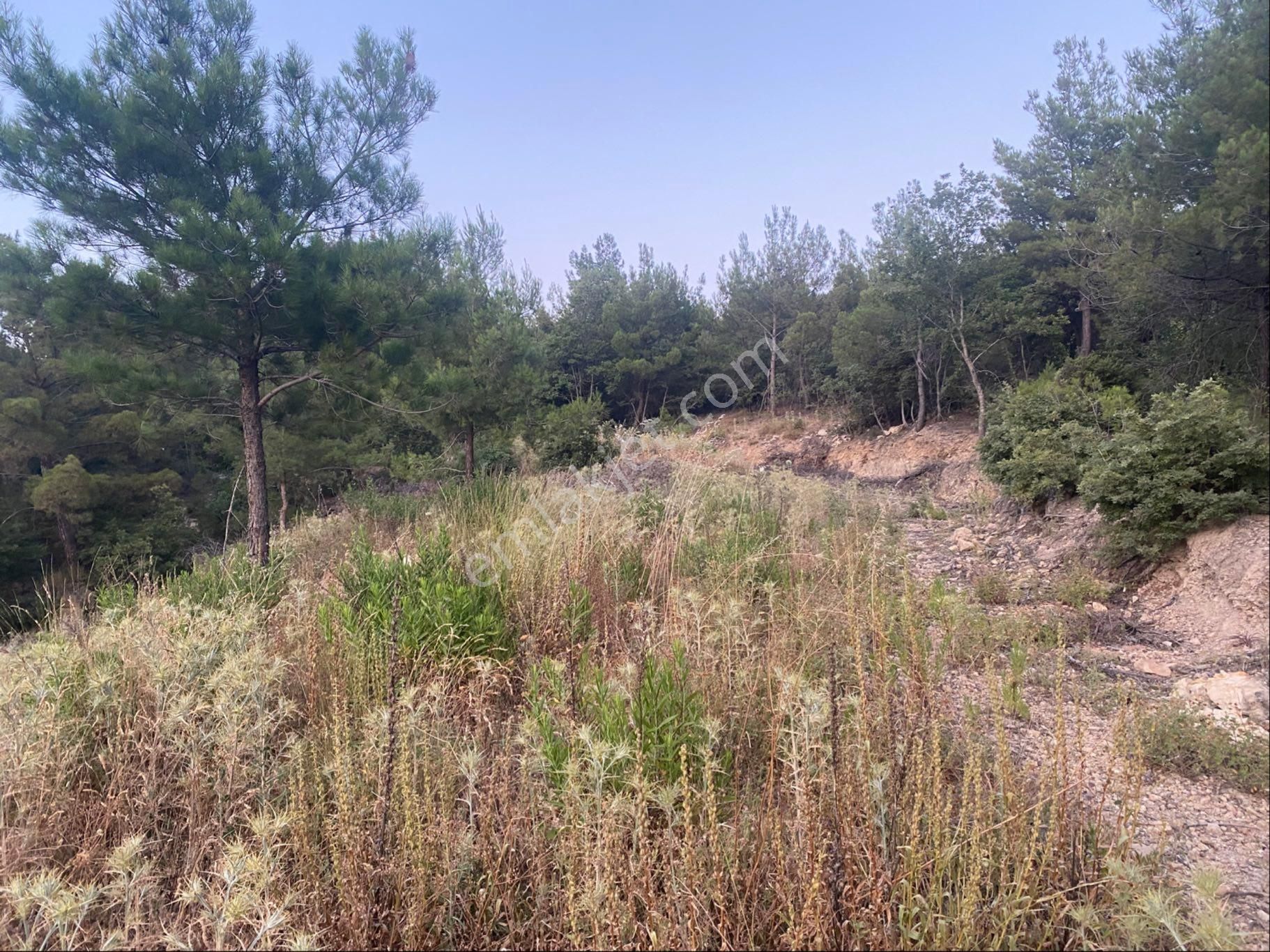 İgo Emlaktan Demirci Köyü Dibinde Tarla - Görsel 3