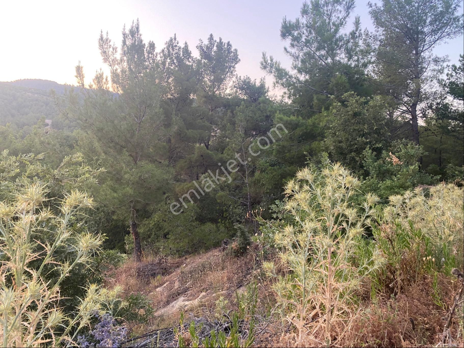 İgo Emlaktan Demirci Köyü Dibinde Tarla - Görsel 11