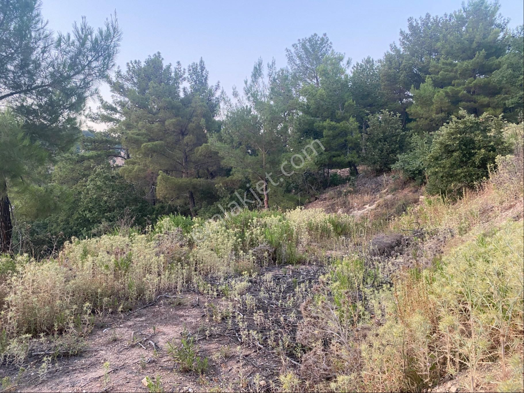 İgo Emlaktan Demirci Köyü Dibinde Tarla - Görsel 8