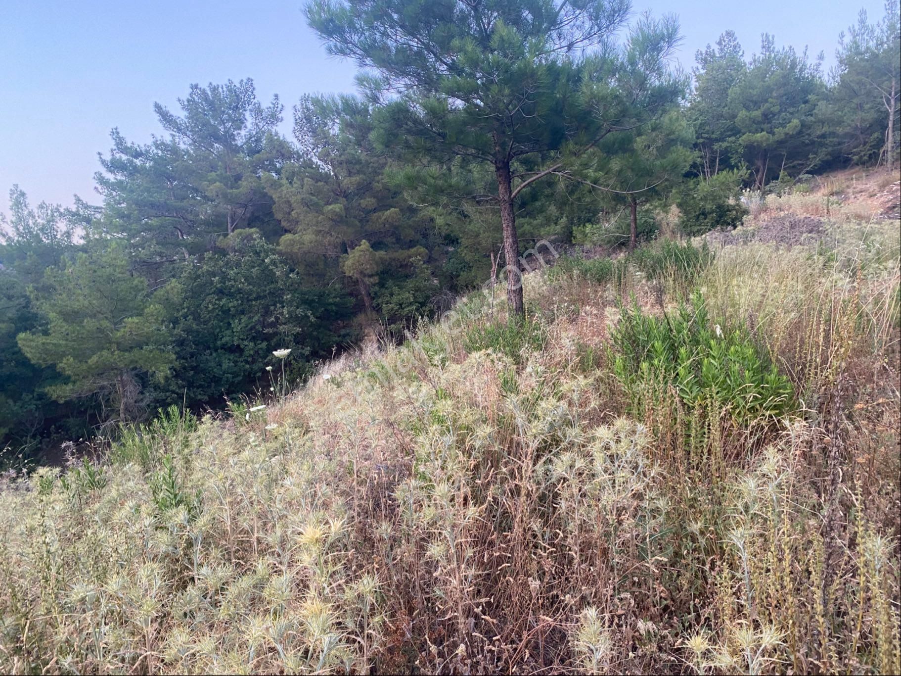 İgo Emlaktan Demirci Köyü Dibinde Tarla - Görsel 6