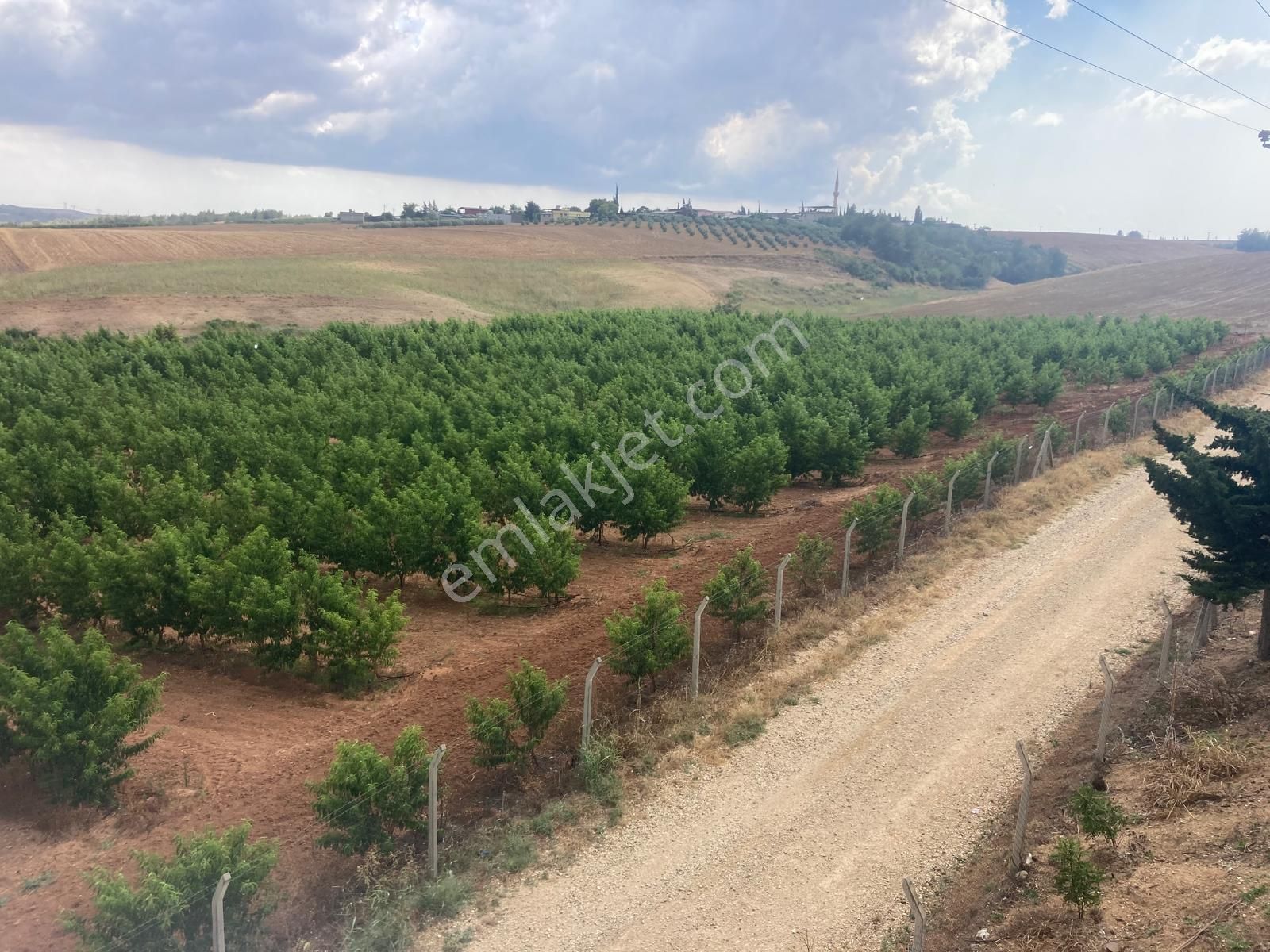 Sarıçam Avcılar Kazankayada Satılık Meyve Bahçesi