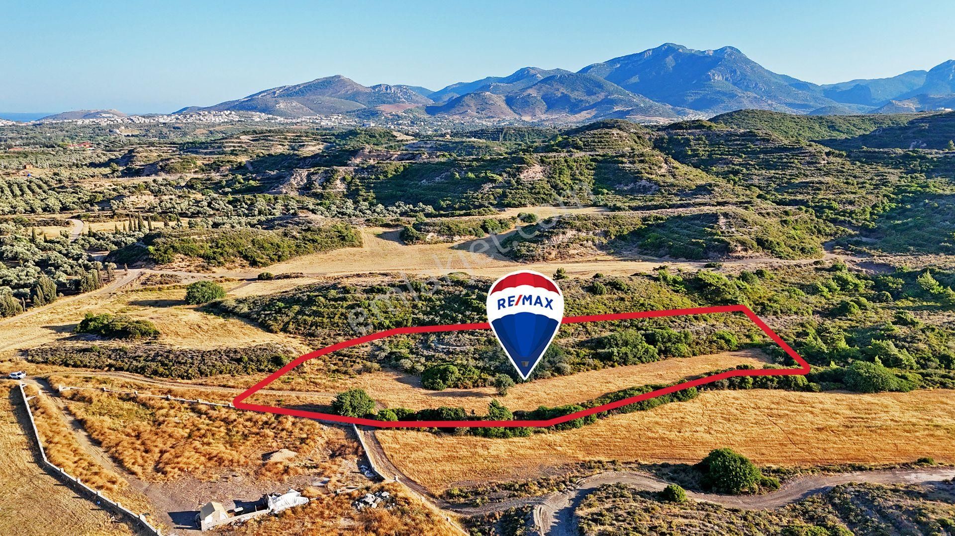 Remax Badem'den Datça Reşadiye'de Satılık 6031 M2 Tarla - Görsel 10