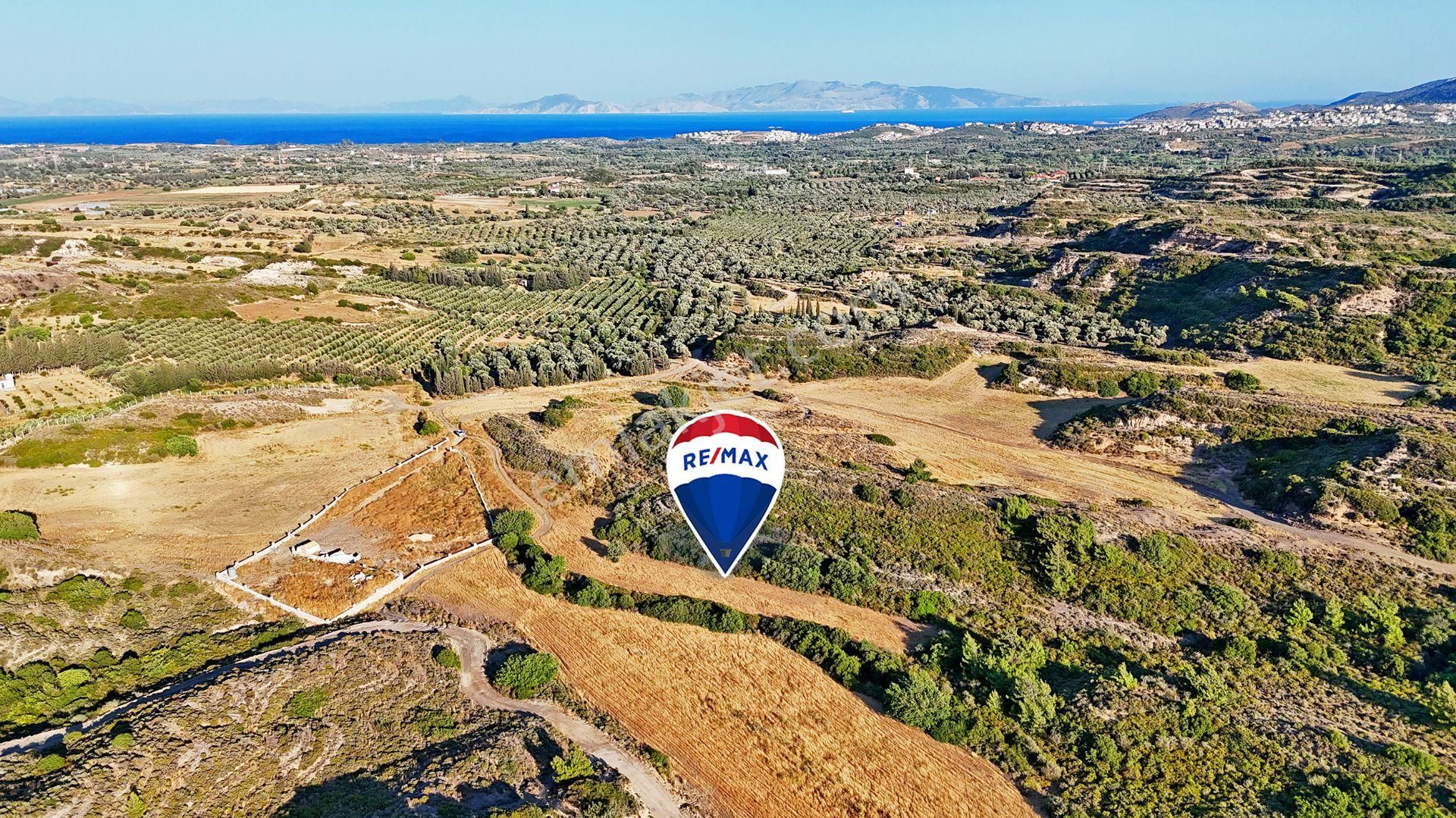 Remax Badem'den Datça Reşadiye'de Satılık 6031 M2 Tarla - Görsel 14